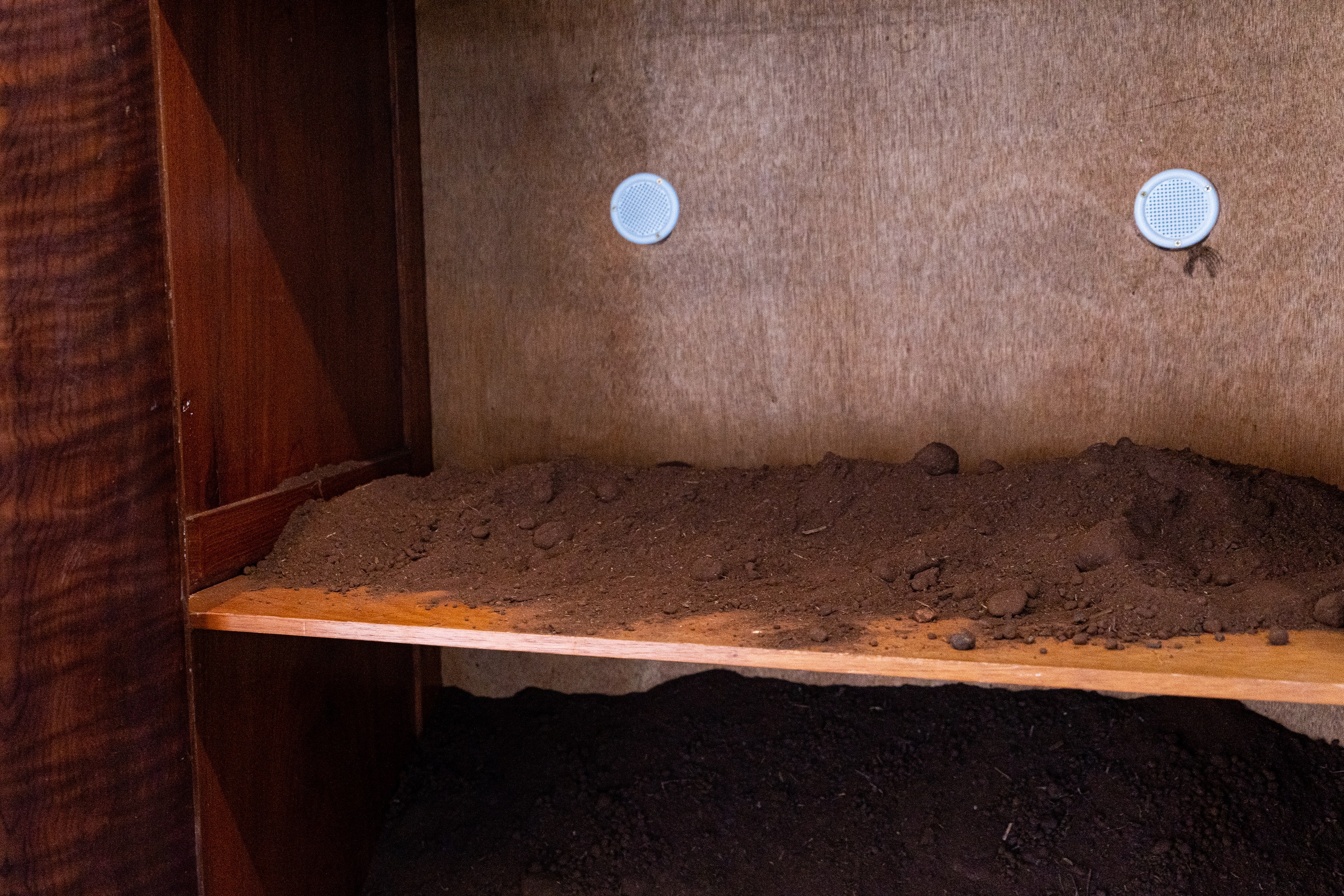 Brígida Baltar, To Make the World a Shelter at Nara Roesler, photo 53