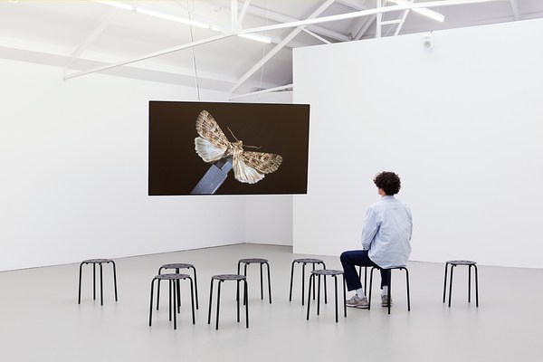 Image 1 of 18