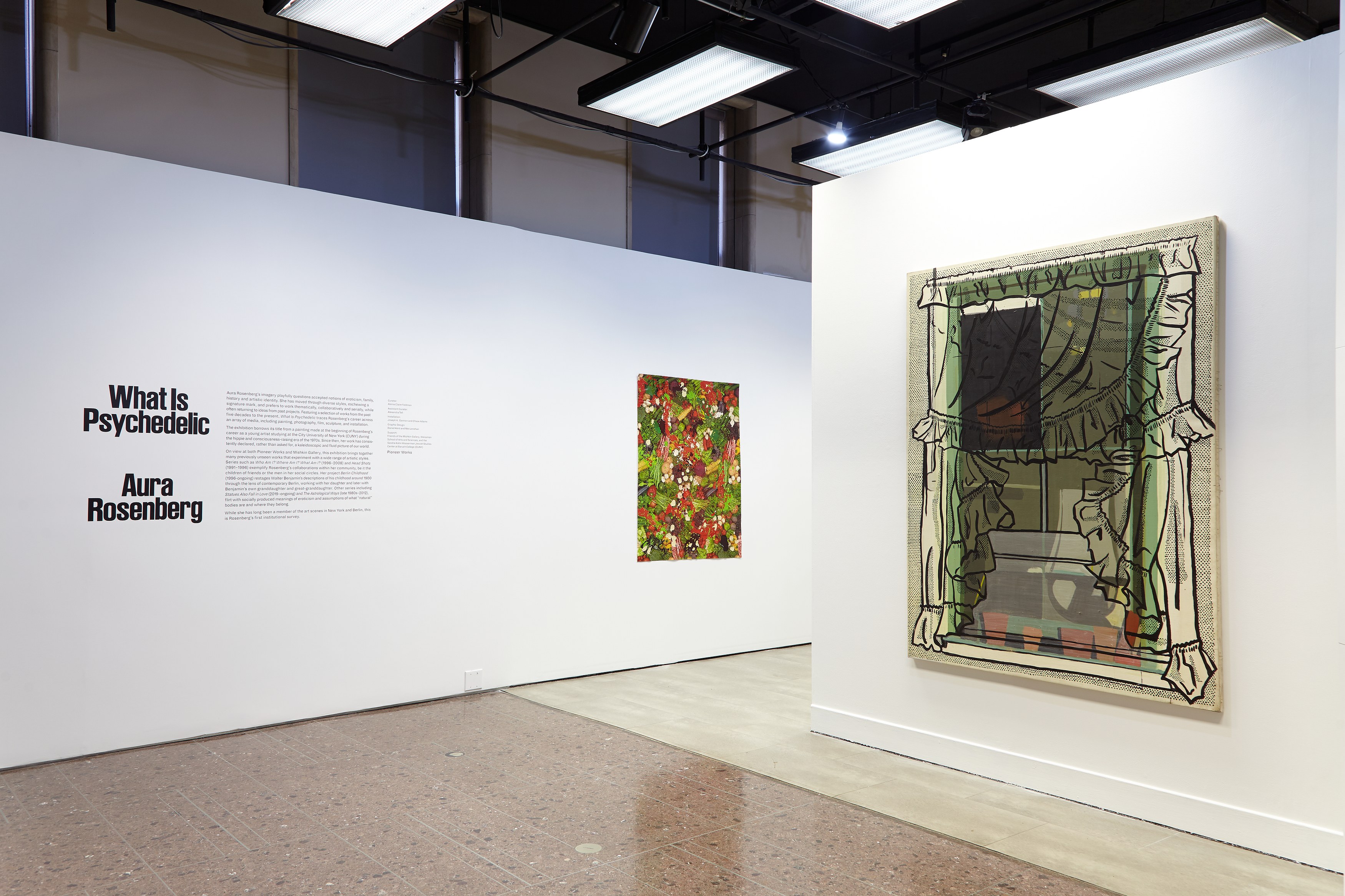 Aura Rosenberg, What Is Psychedelic at Mishkin Gallery, Baruch College, photo 2