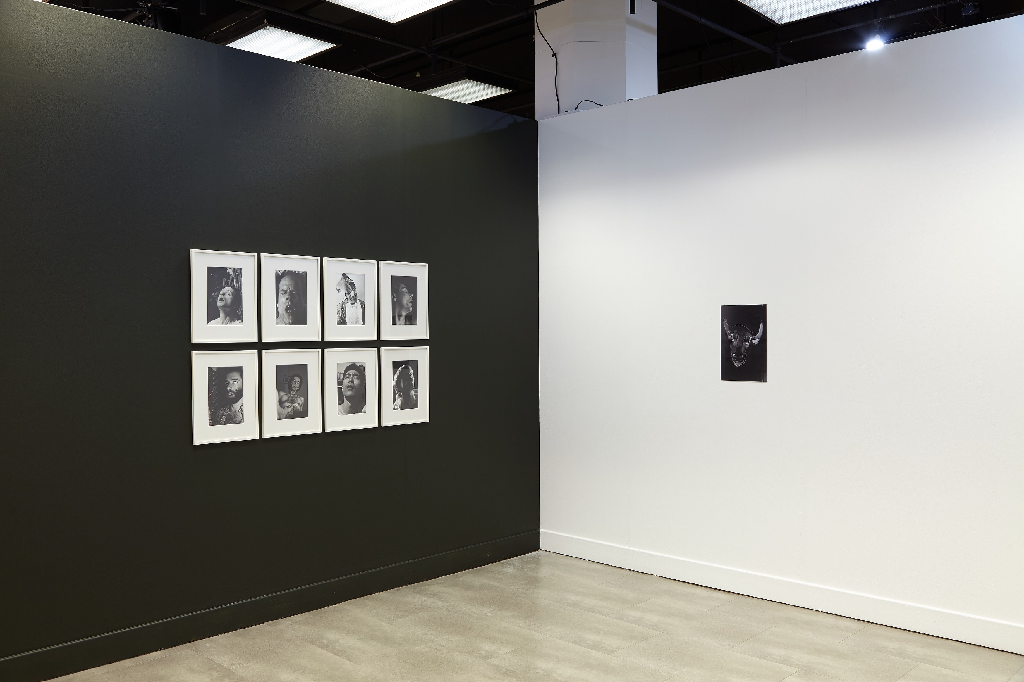 Aura Rosenberg, What Is Psychedelic at Mishkin Gallery, Baruch College, photo 4