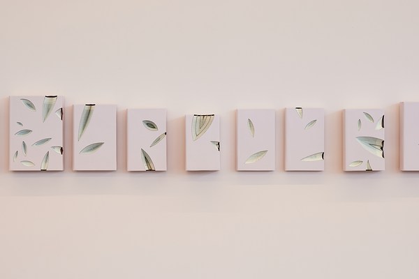 Image 6 of 13