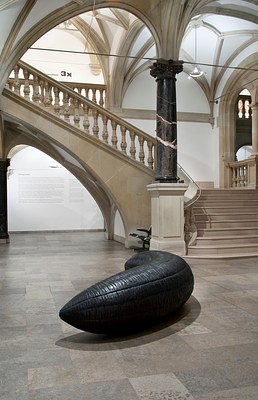 Image 4 of 13