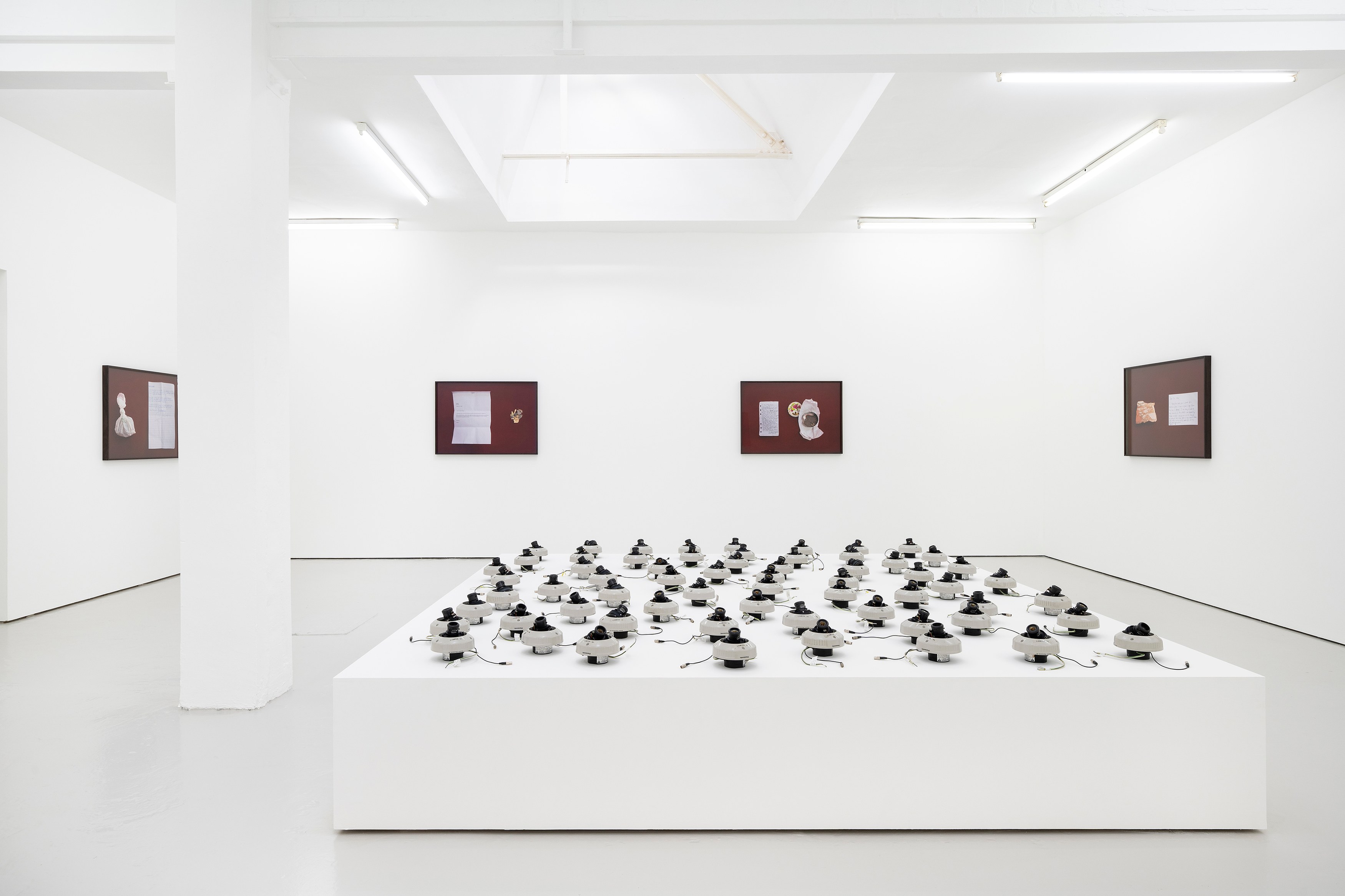 Rose Salane, Basins of Attraction at Carlos/Ishikawa, photo 2