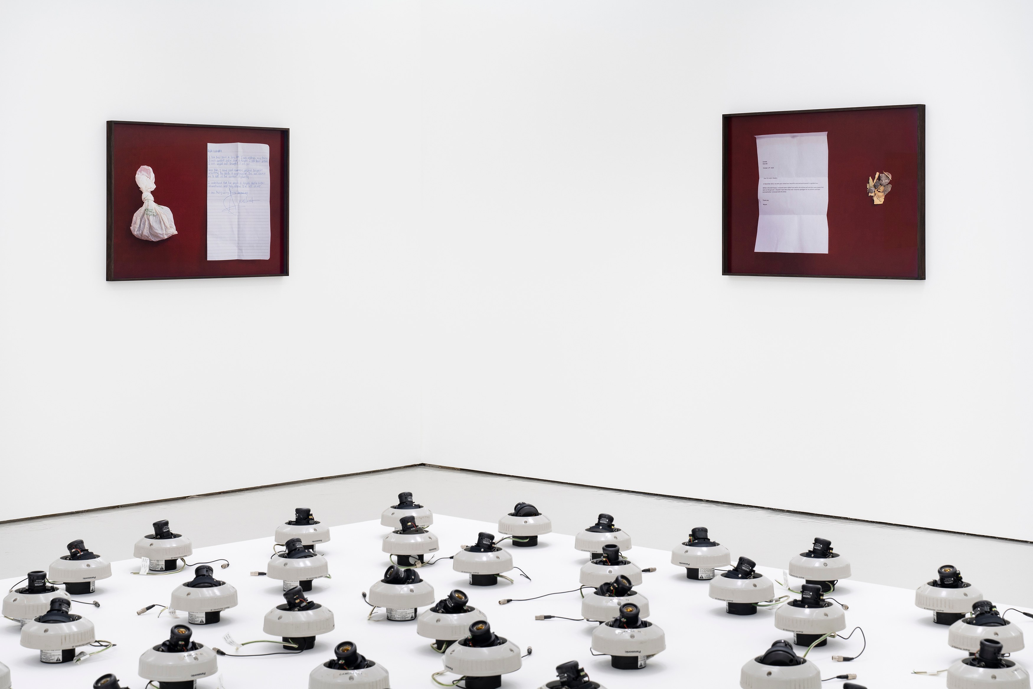 Rose Salane, Basins of Attraction at Carlos/Ishikawa, photo 3