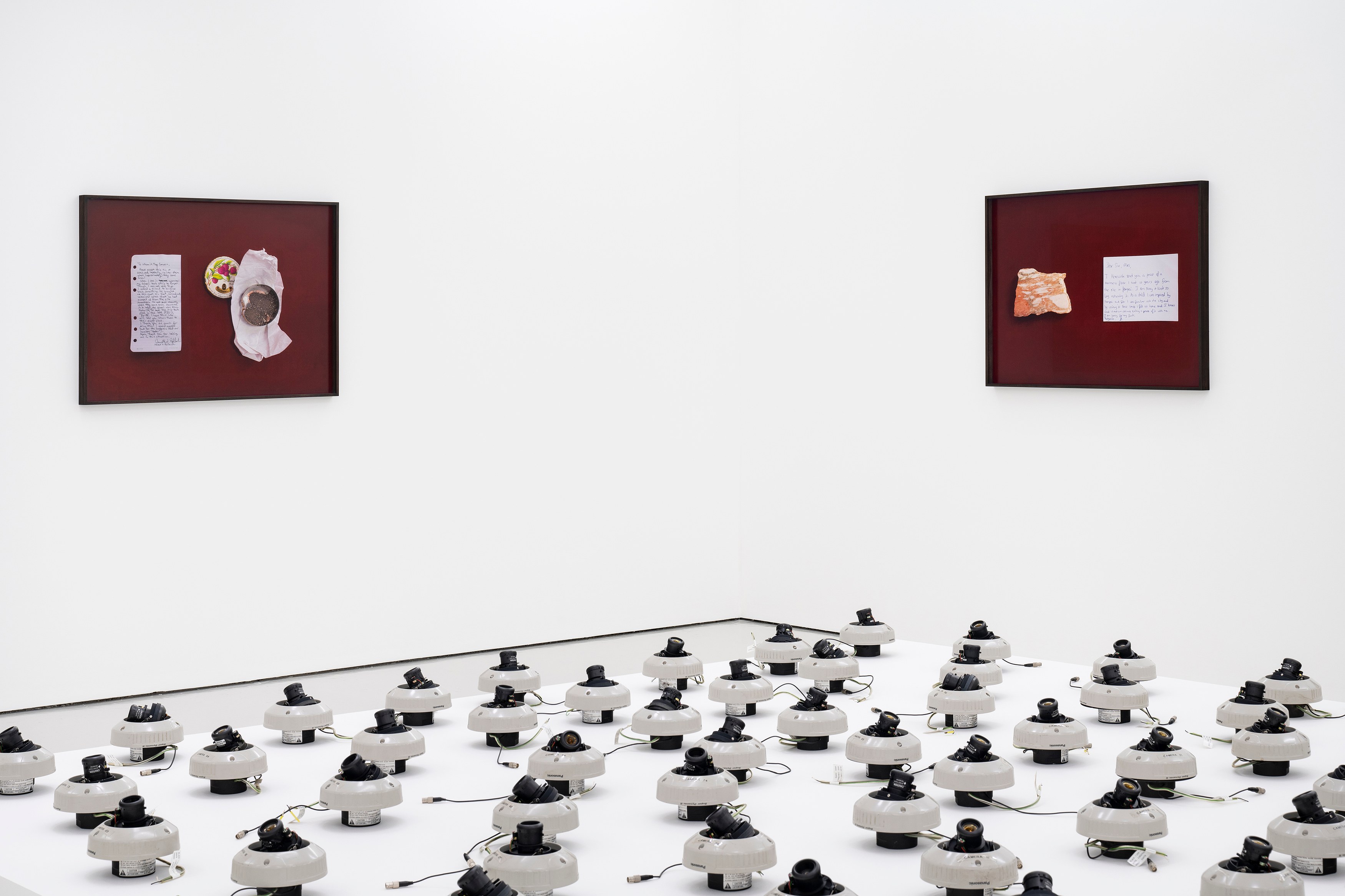 Rose Salane, Basins of Attraction at Carlos/Ishikawa, photo 5