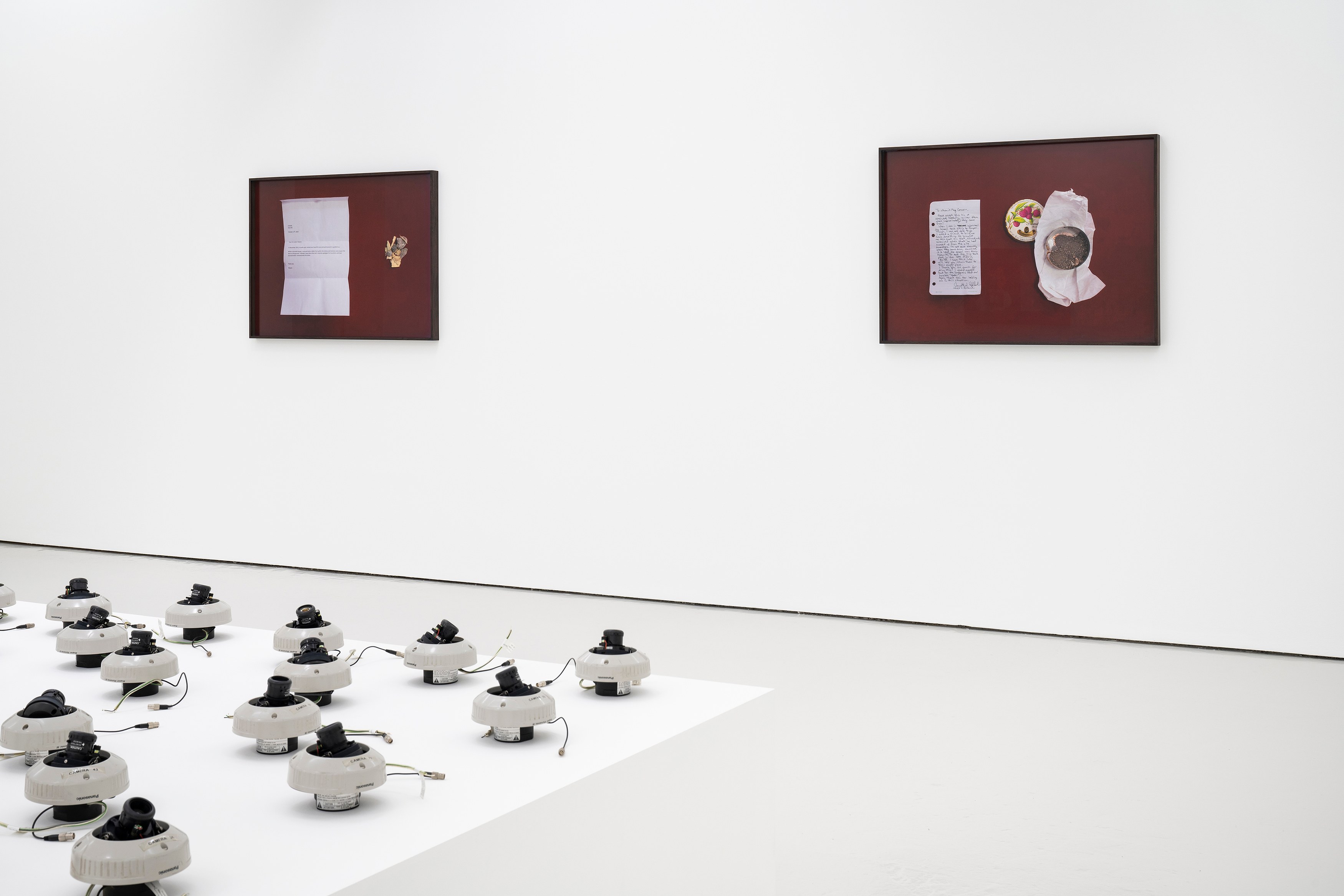 Rose Salane, Basins of Attraction at Carlos/Ishikawa, photo 7