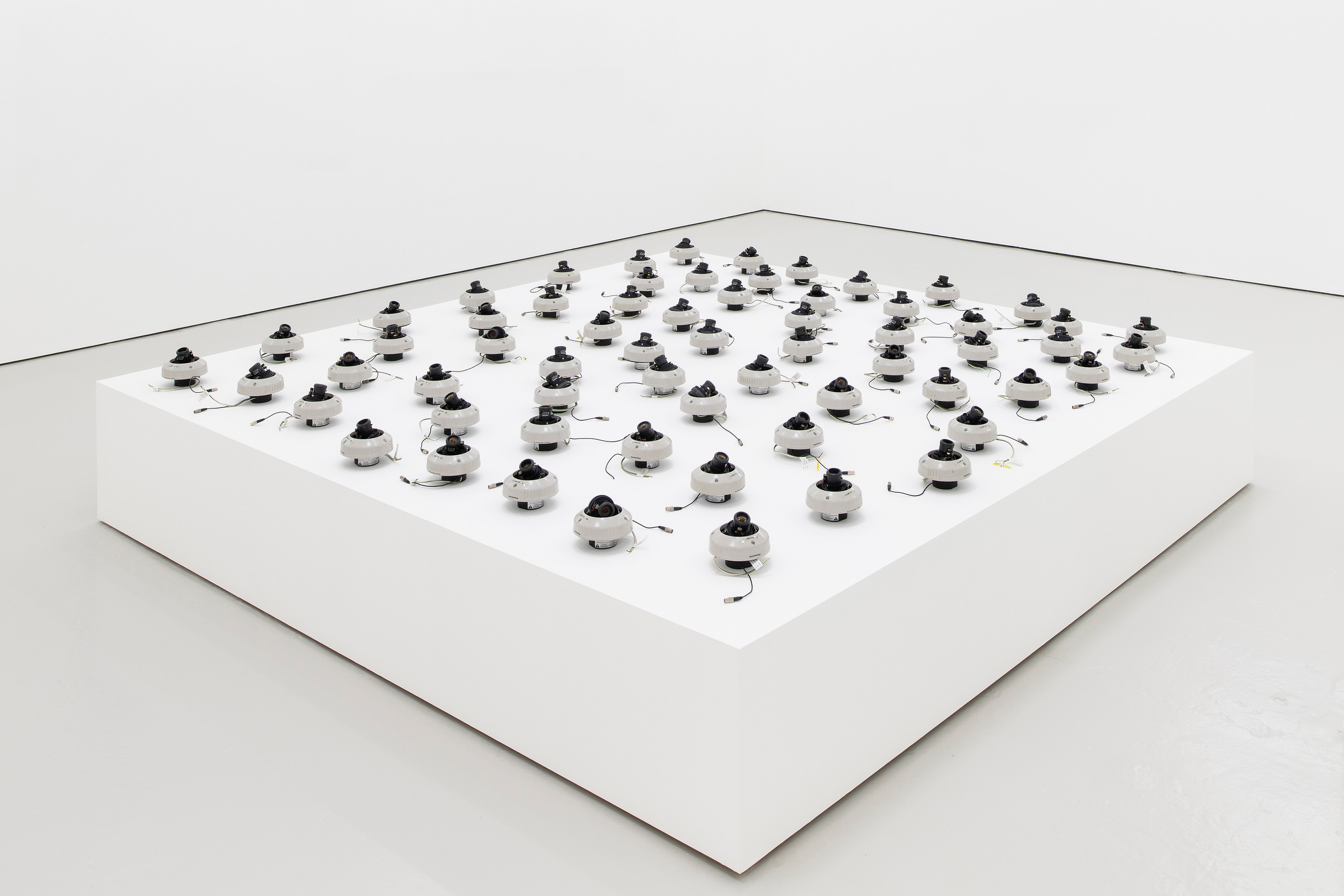 Rose Salane, Basins of Attraction at Carlos/Ishikawa, photo 8