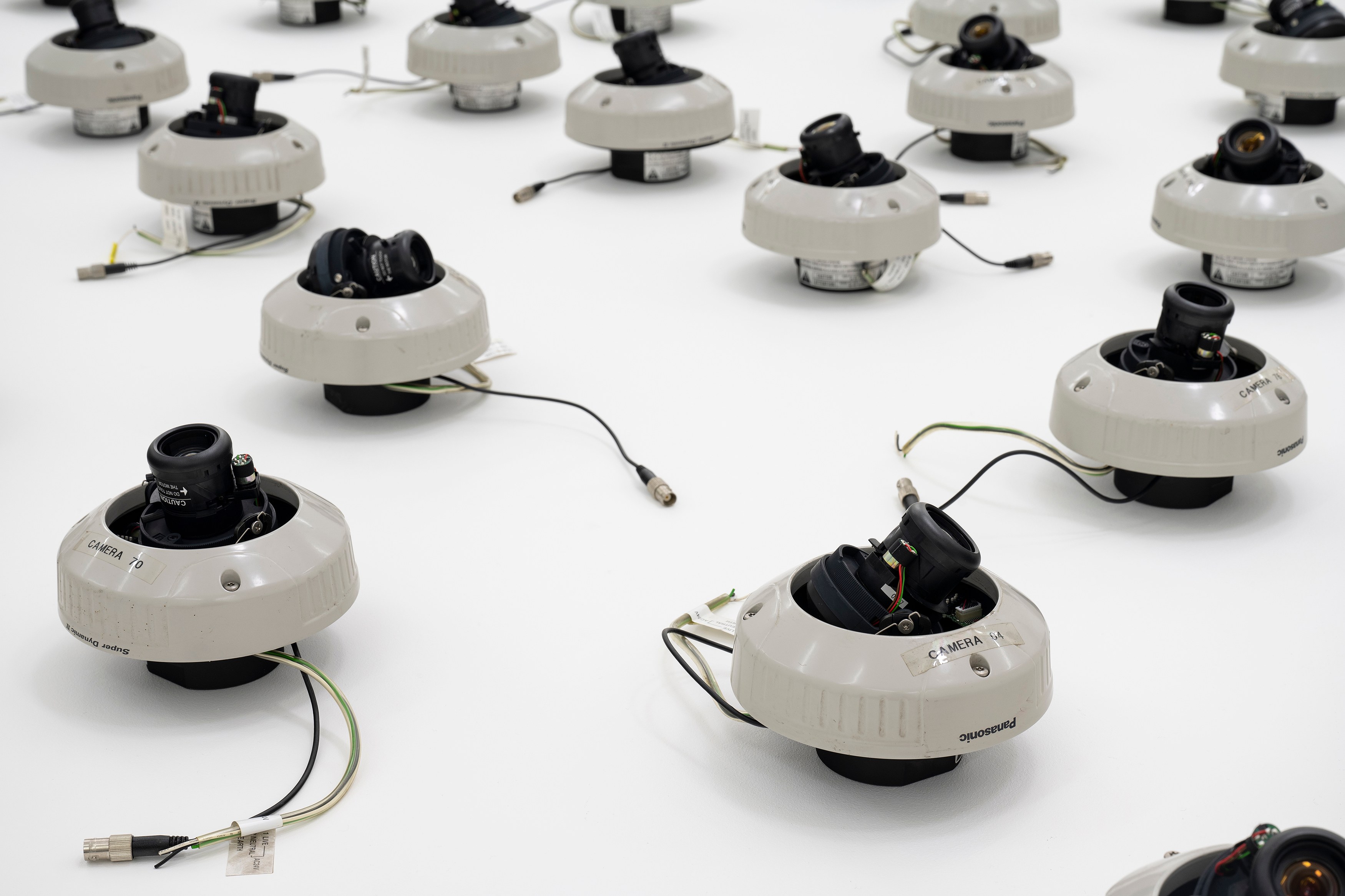 Rose Salane, Basins of Attraction at Carlos/Ishikawa, photo 10