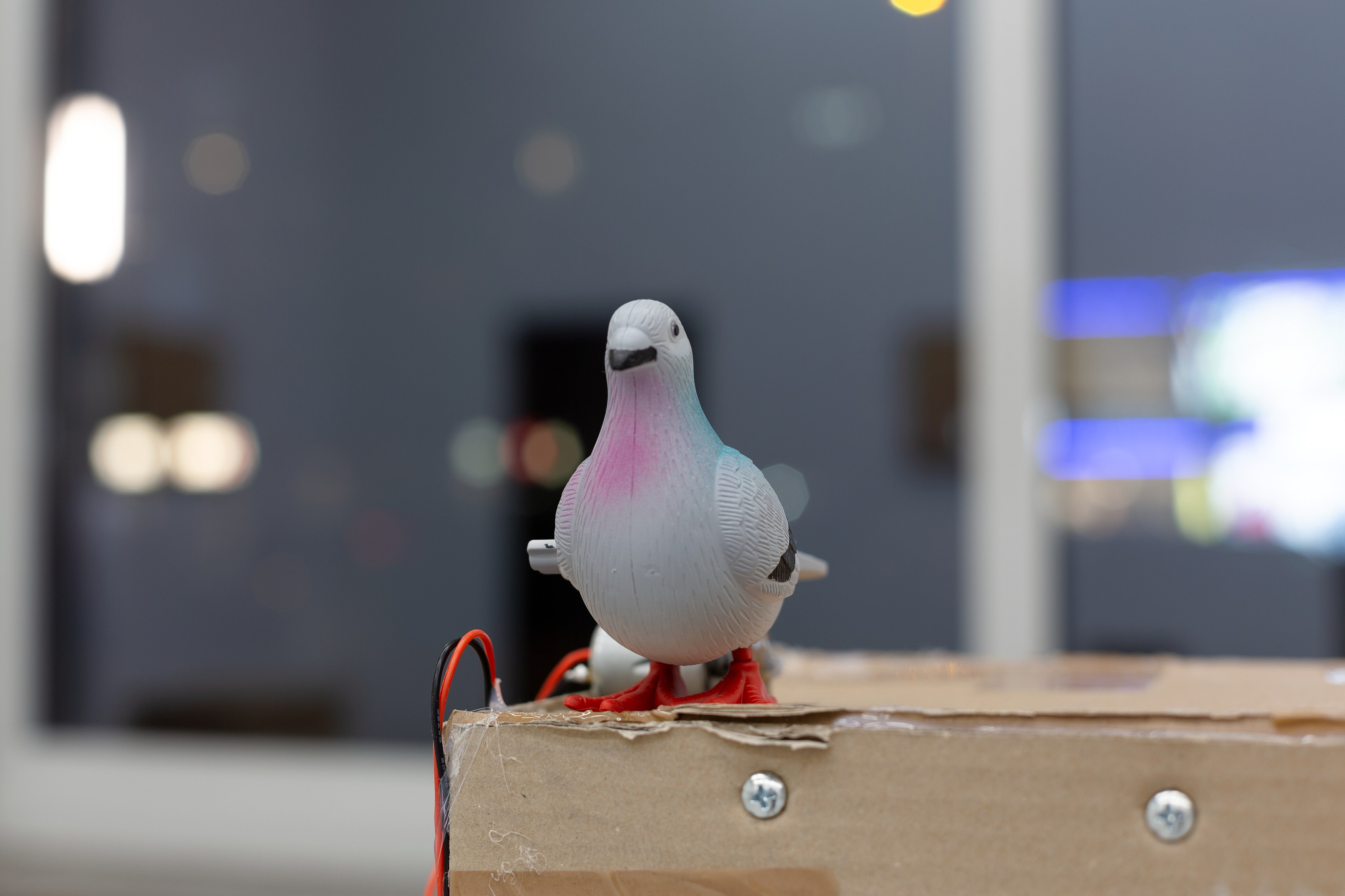Connor Crawford, Life in the Big City at Scherben, photo 19