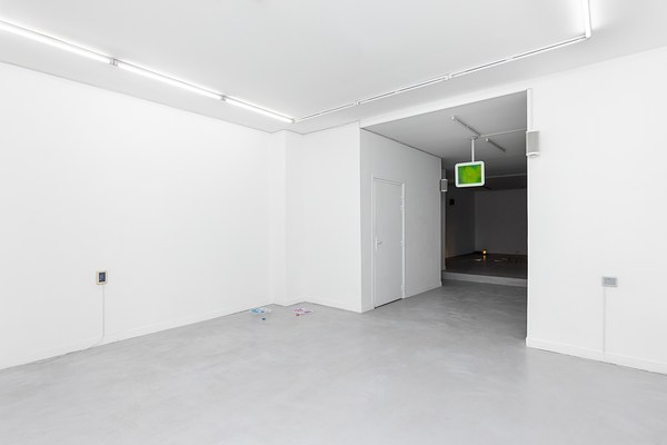 Image 4 of 17