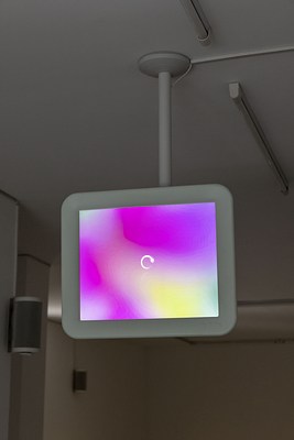 Image 9 of 17