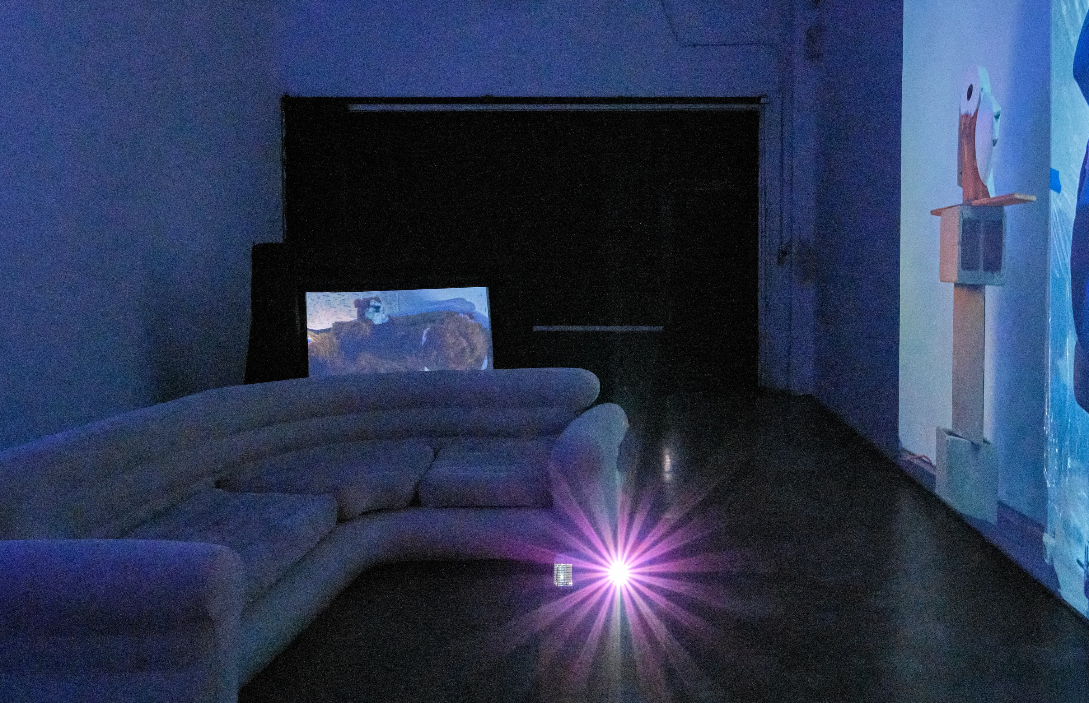 Olivia Mole, A Bear Shits in the Woods at Gattopardo, photo 7
