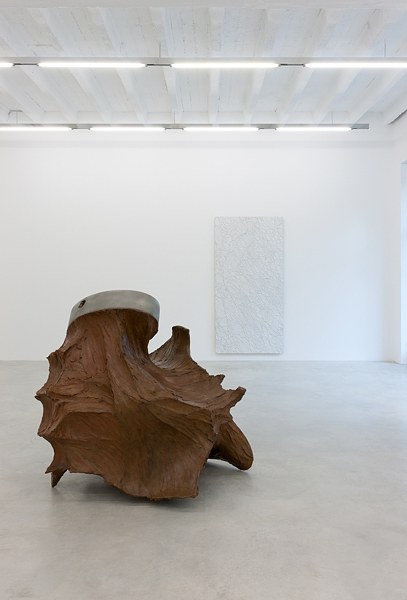 Giuseppe Penone, Neue Arbeiten at Okey Dokey Konrad Fischer, photo 2