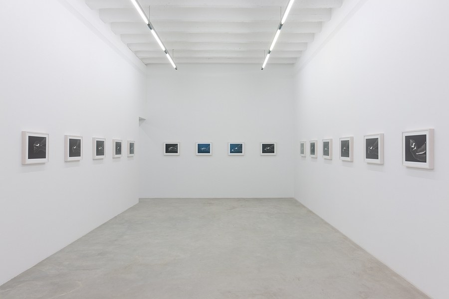 Giuseppe Penone, Neue Arbeiten at Okey Dokey Konrad Fischer, photo 5
