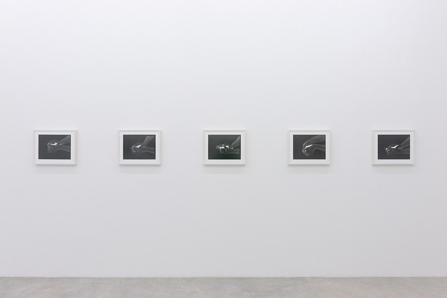 Giuseppe Penone, Neue Arbeiten at Okey Dokey Konrad Fischer, photo 6