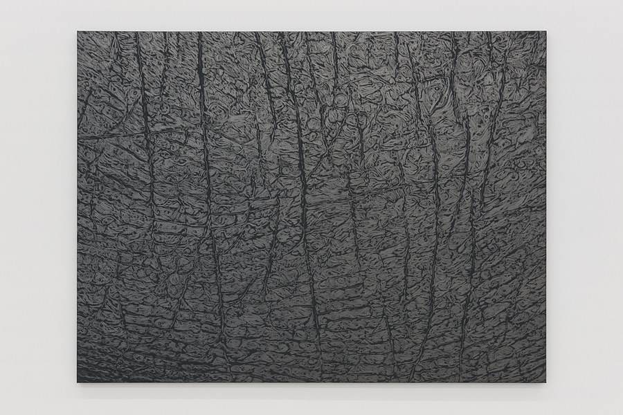 Giuseppe Penone, Neue Arbeiten at Okey Dokey Konrad Fischer, photo 7
