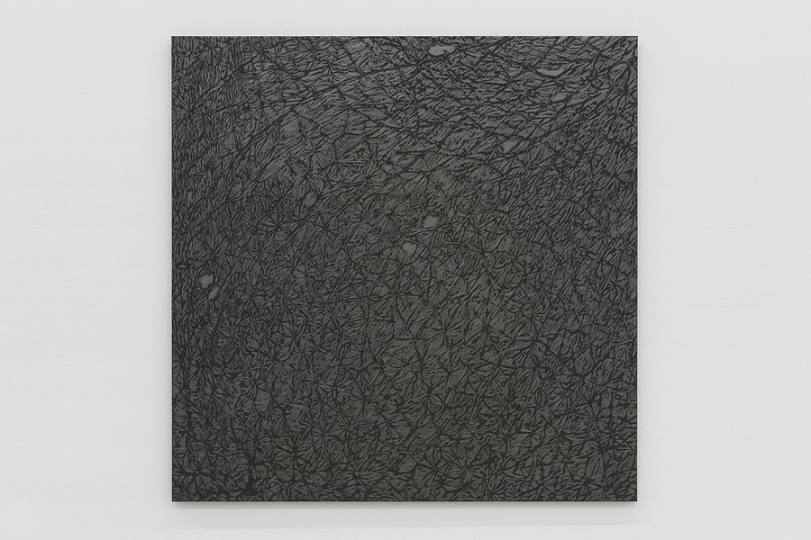 Giuseppe Penone, Neue Arbeiten at Okey Dokey Konrad Fischer, photo 8