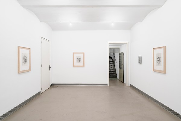 Image 4 of 36
