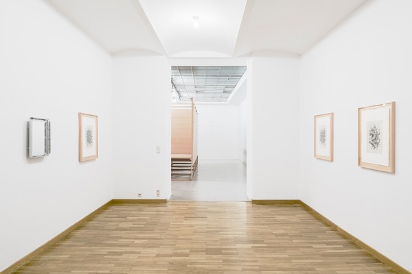 Image 10 of 36