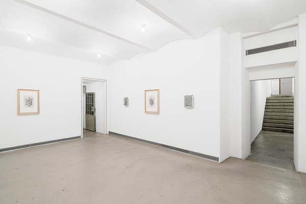 Image 7 of 36