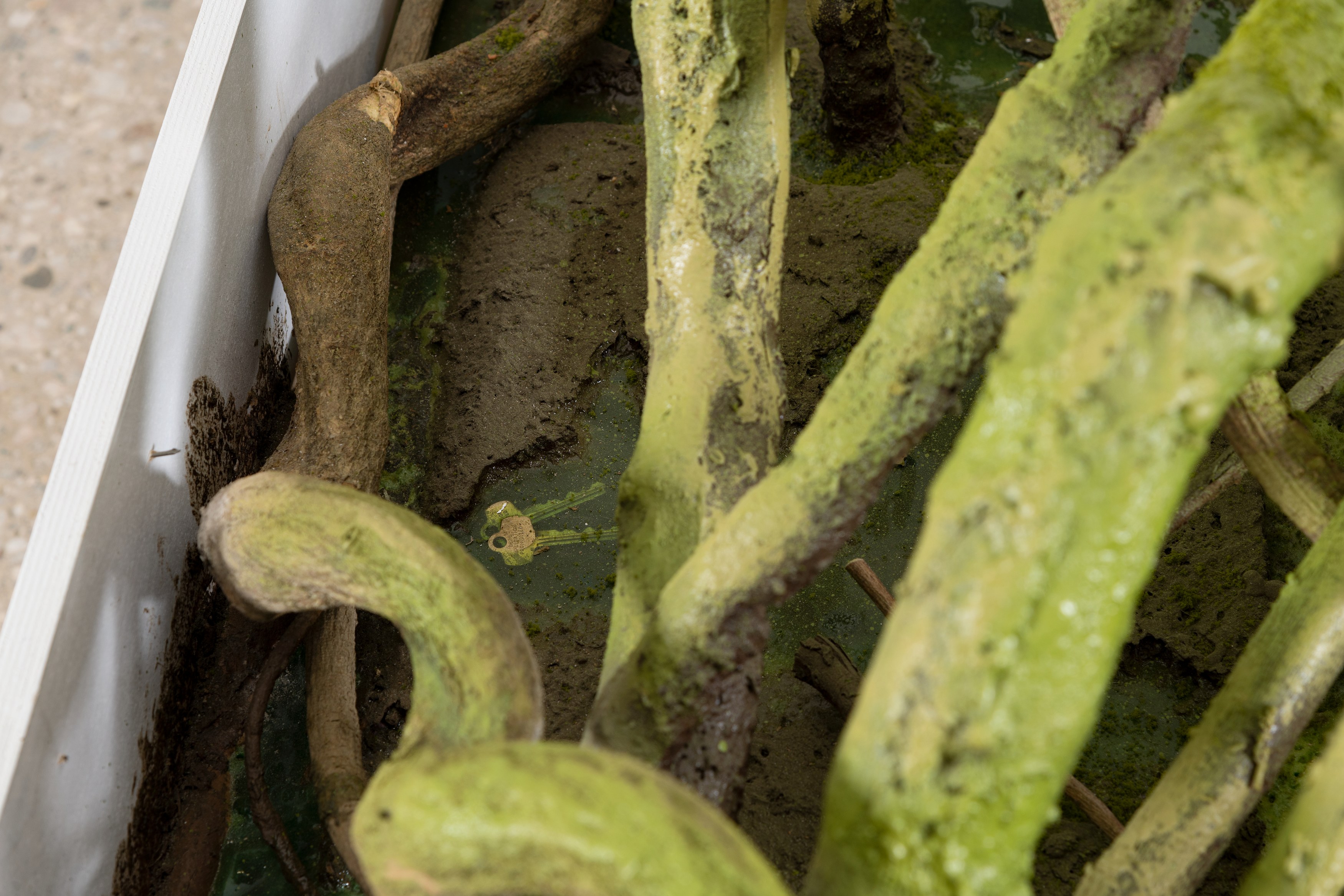 Group Show, Group Show at Greene Naftali, photo 13