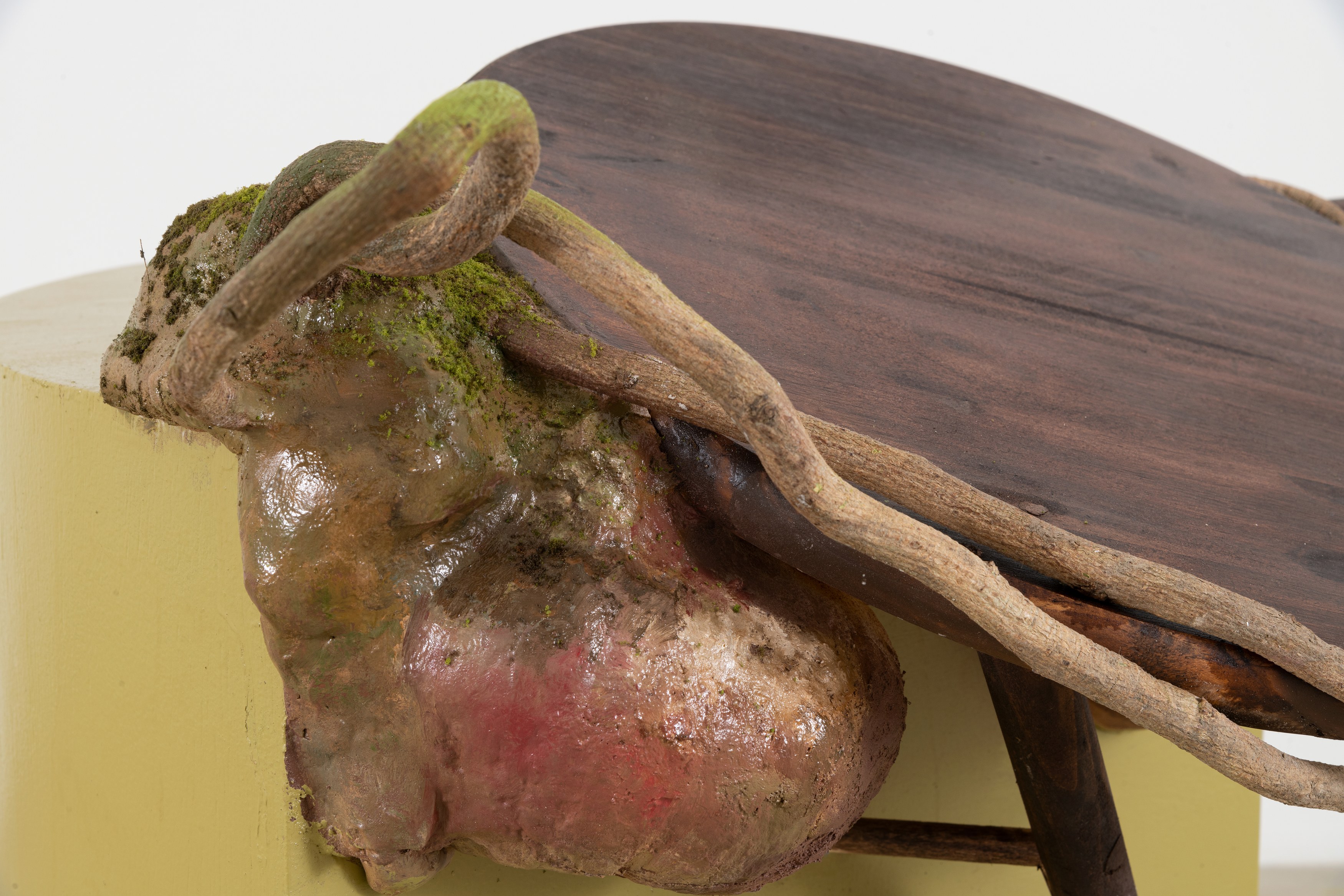 Group Show, Group Show at Greene Naftali, photo 17