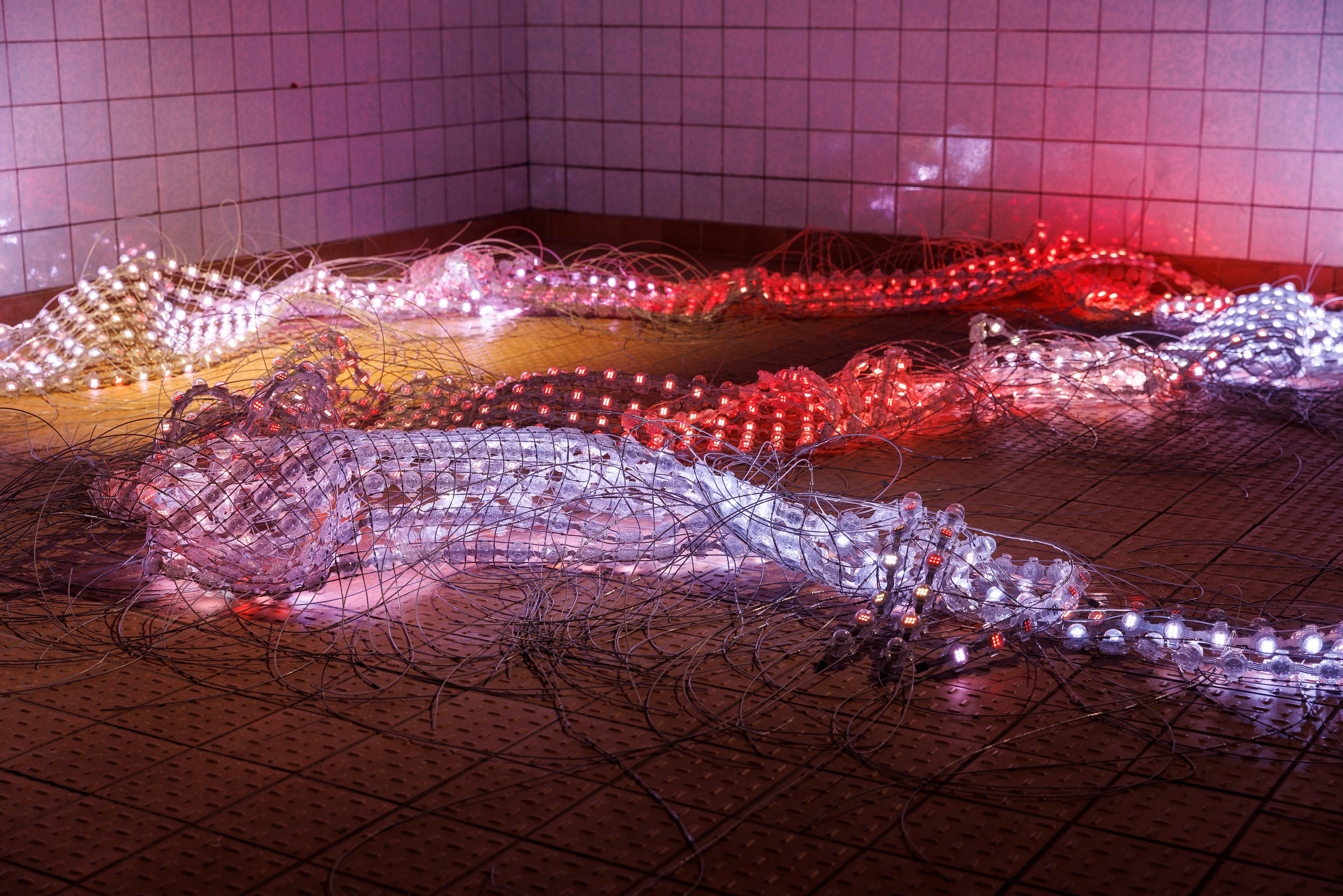 Human Is, Human Is at Schinkel Pavillon, photo 19