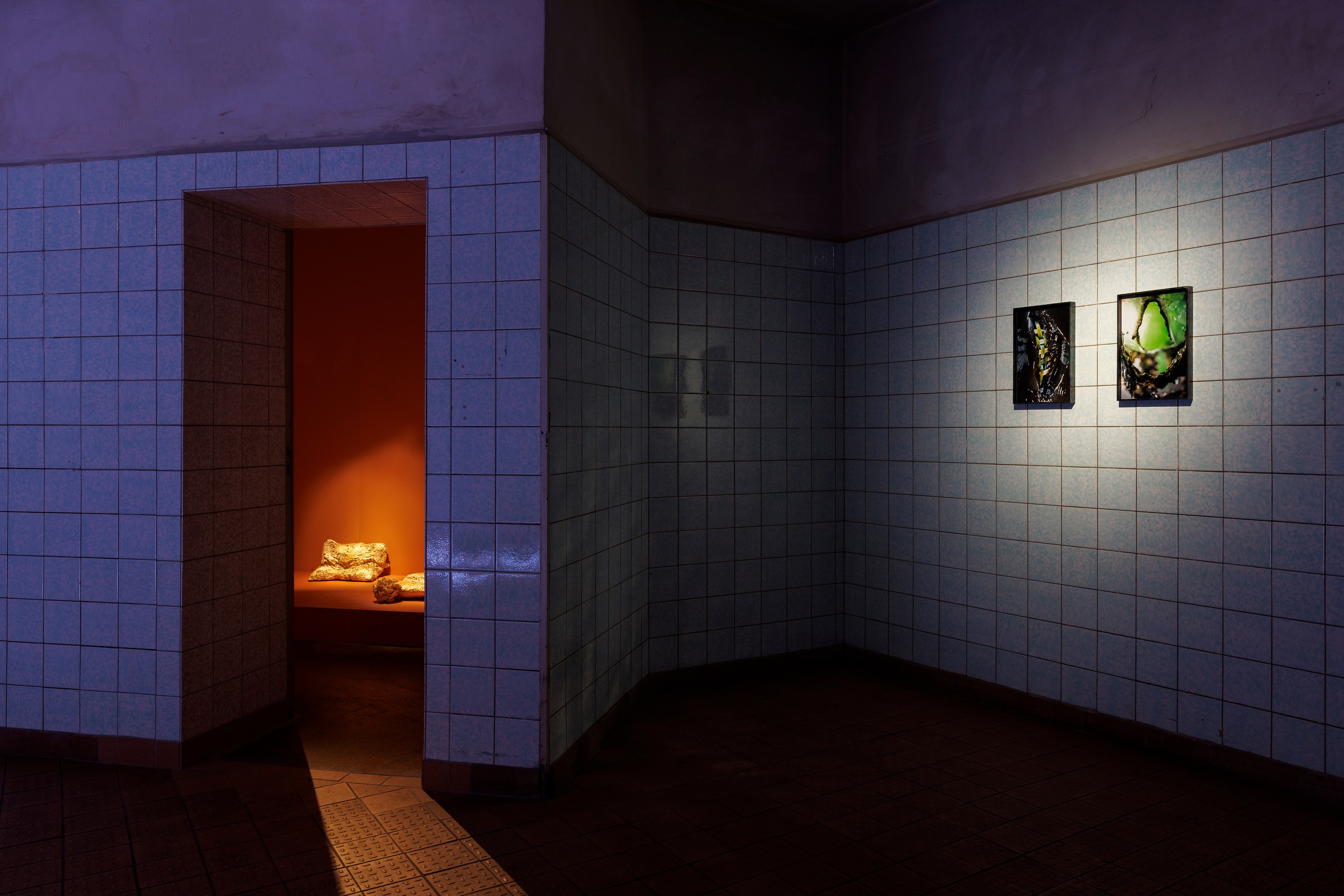 Human Is, Human Is at Schinkel Pavillon, photo 20