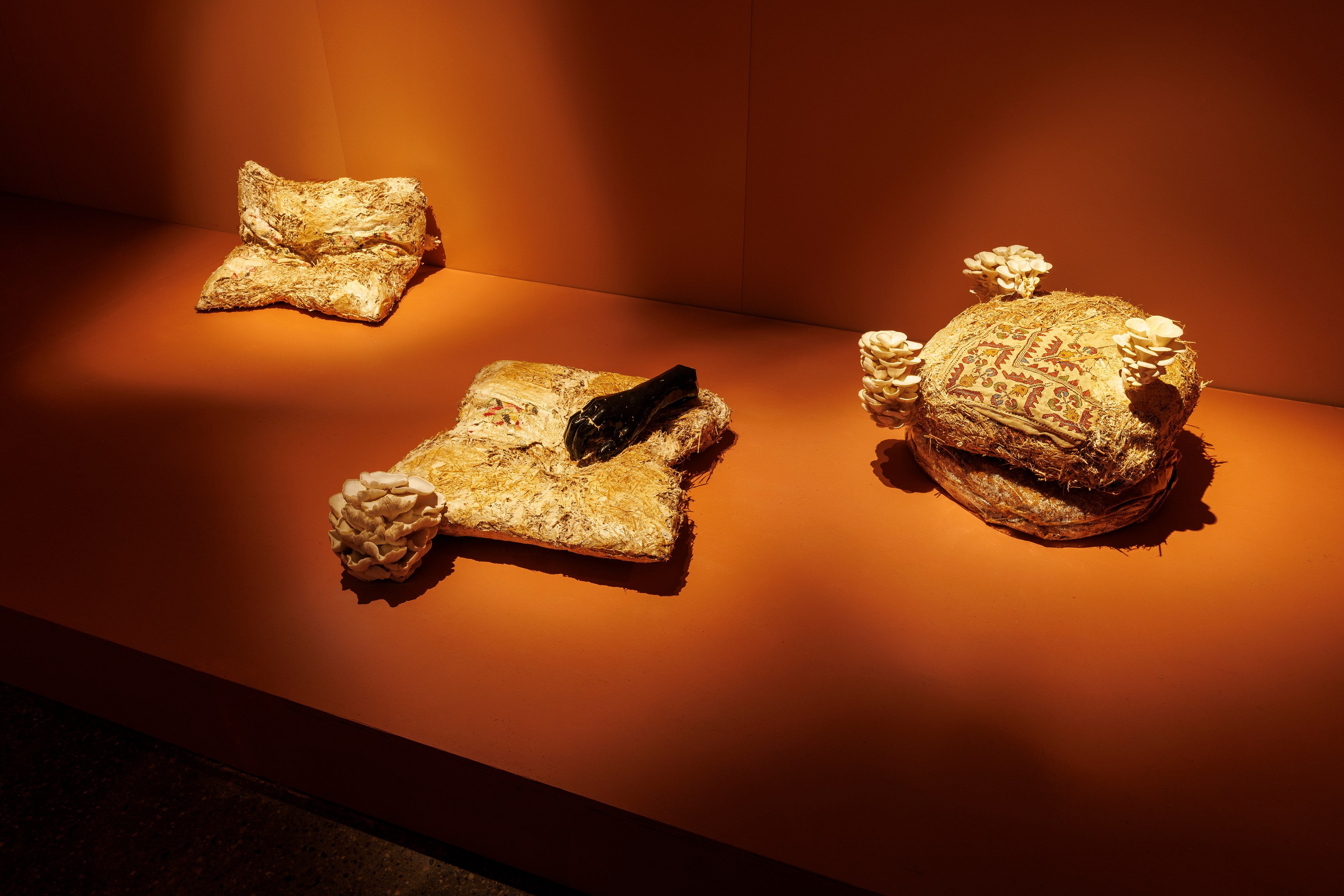 Human Is, Human Is at Schinkel Pavillon, photo 21