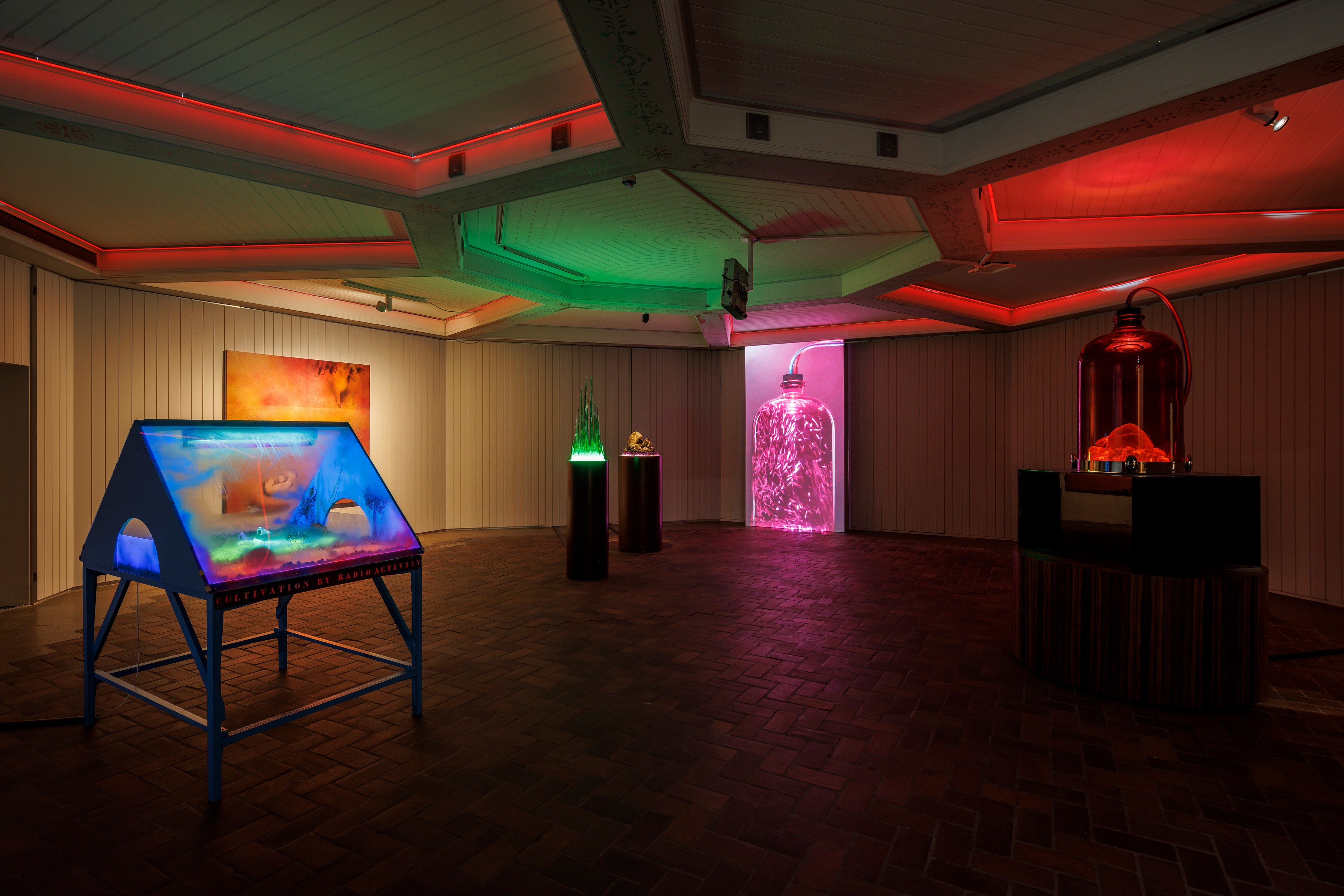Human Is, Human Is at Schinkel Pavillon, photo 24