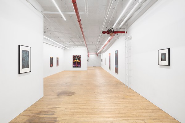 Image 11 of 23