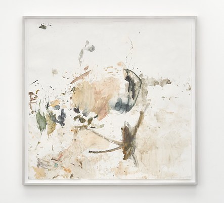 Image 19 of 19