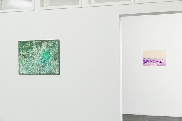 Image 7 of 41
