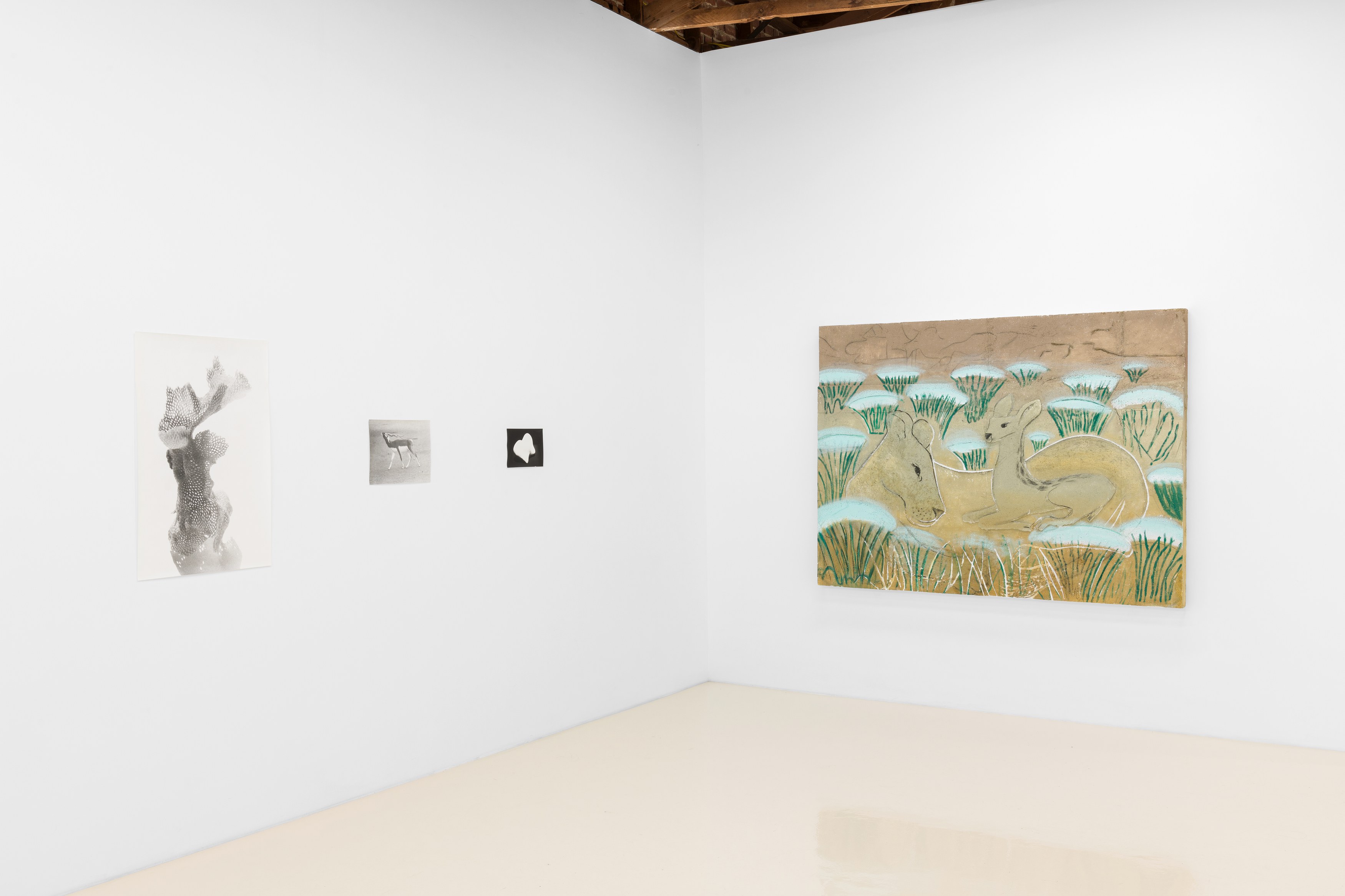 Jochen Lempert, Lin May Saeed, Untitled at Chris Sharp Gallery, photo 2