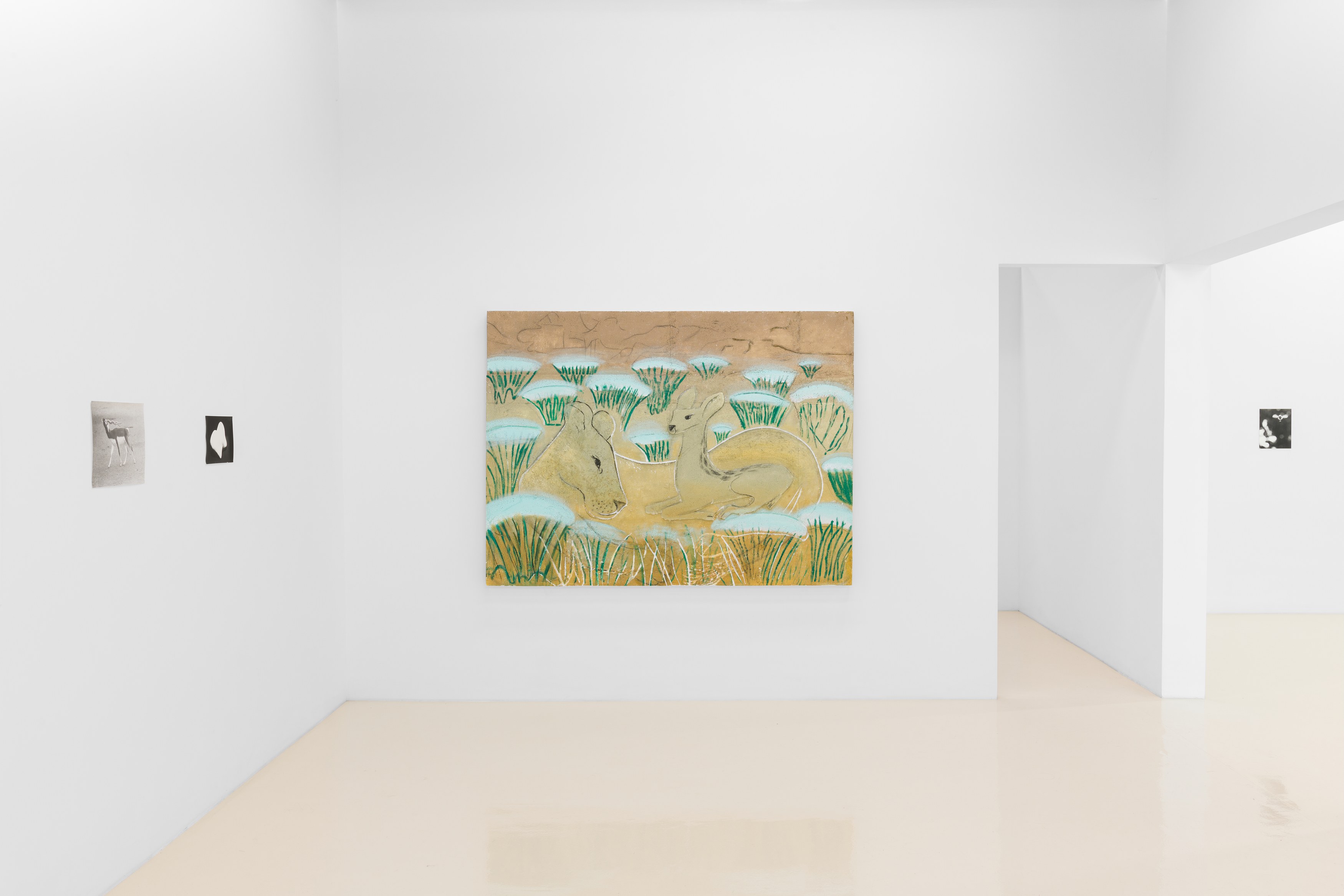 Jochen Lempert, Lin May Saeed, Untitled at Chris Sharp Gallery, photo 3
