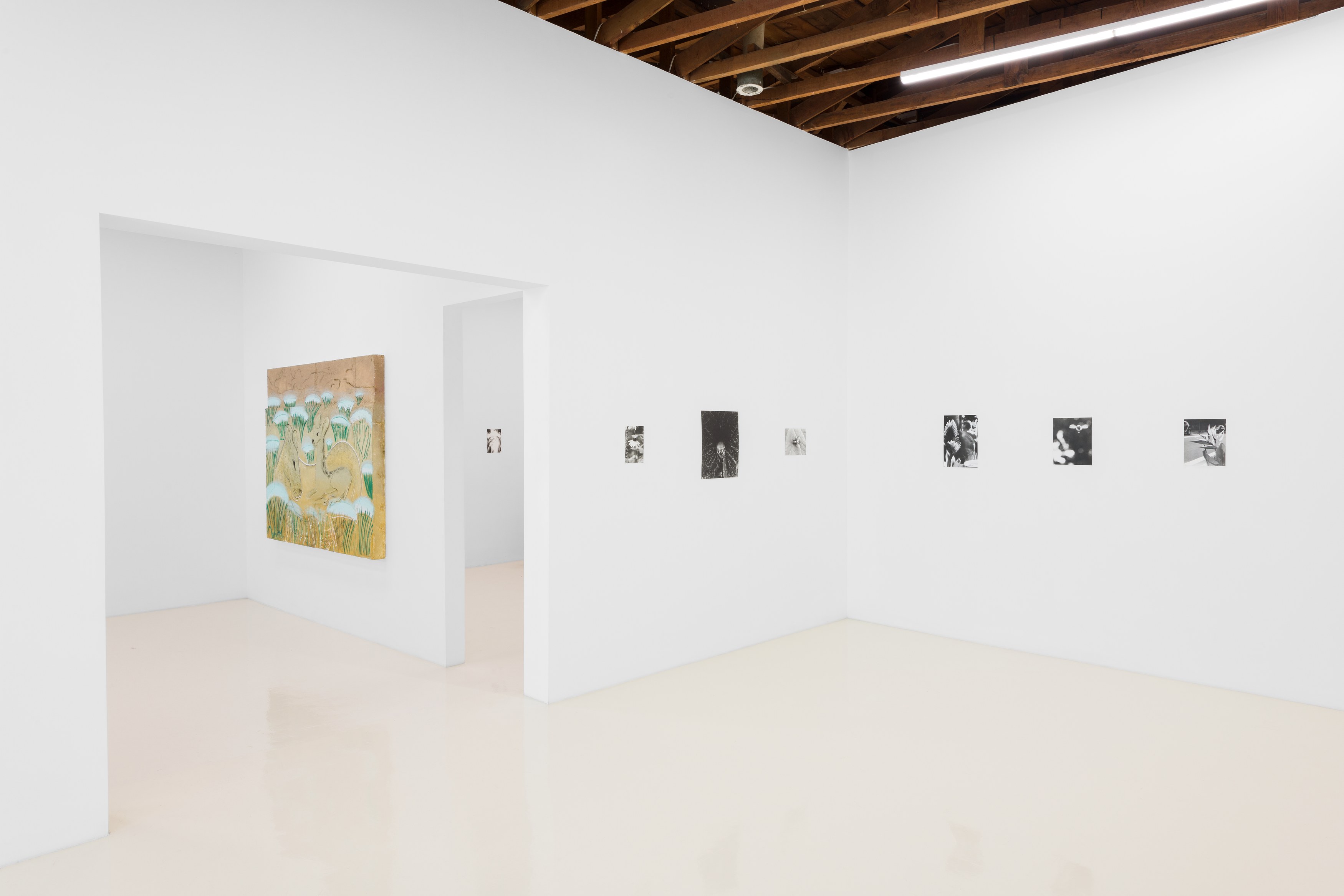 Jochen Lempert, Lin May Saeed, Untitled at Chris Sharp Gallery, photo 8