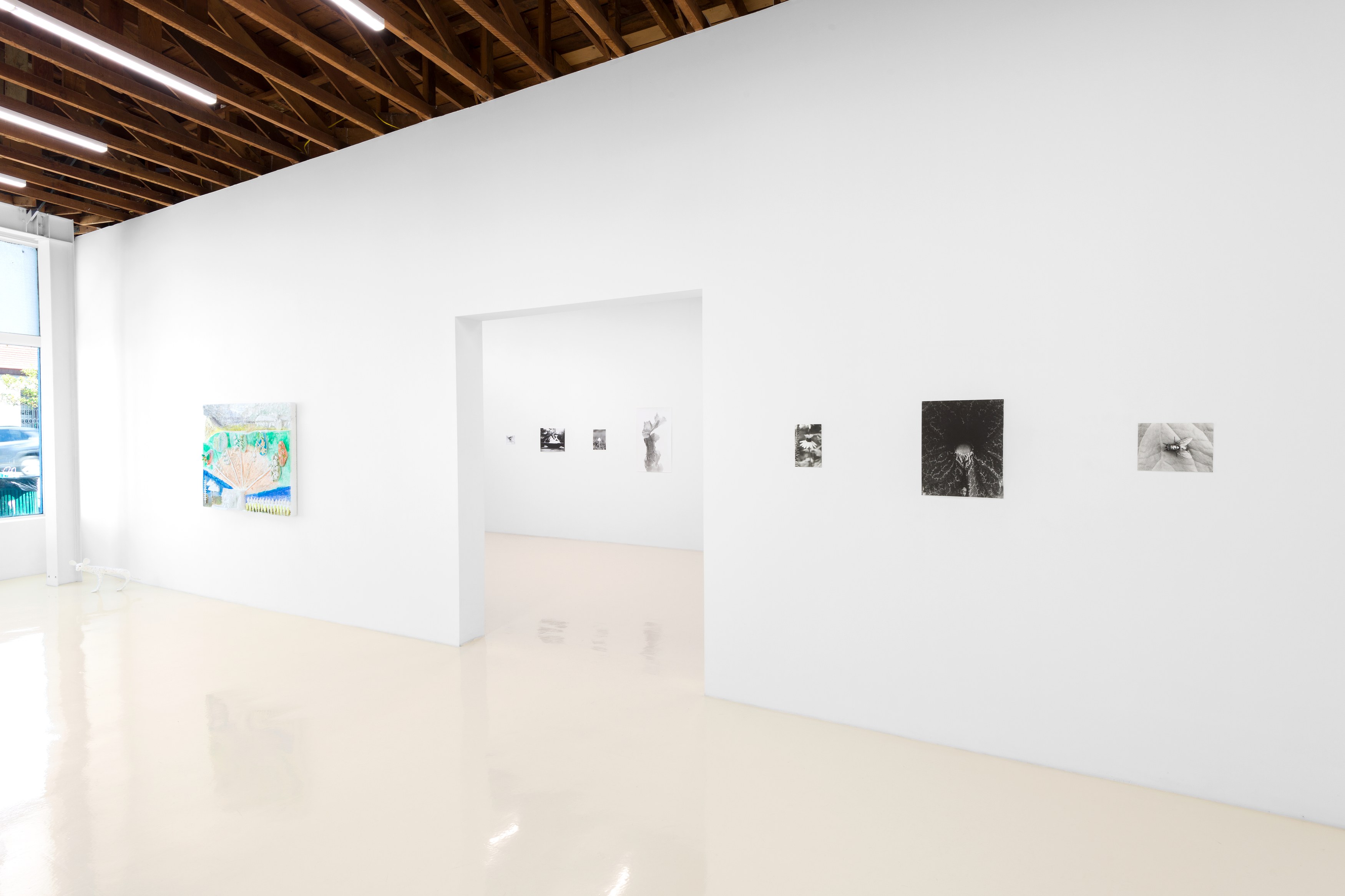 Jochen Lempert, Lin May Saeed, Untitled at Chris Sharp Gallery, photo 10