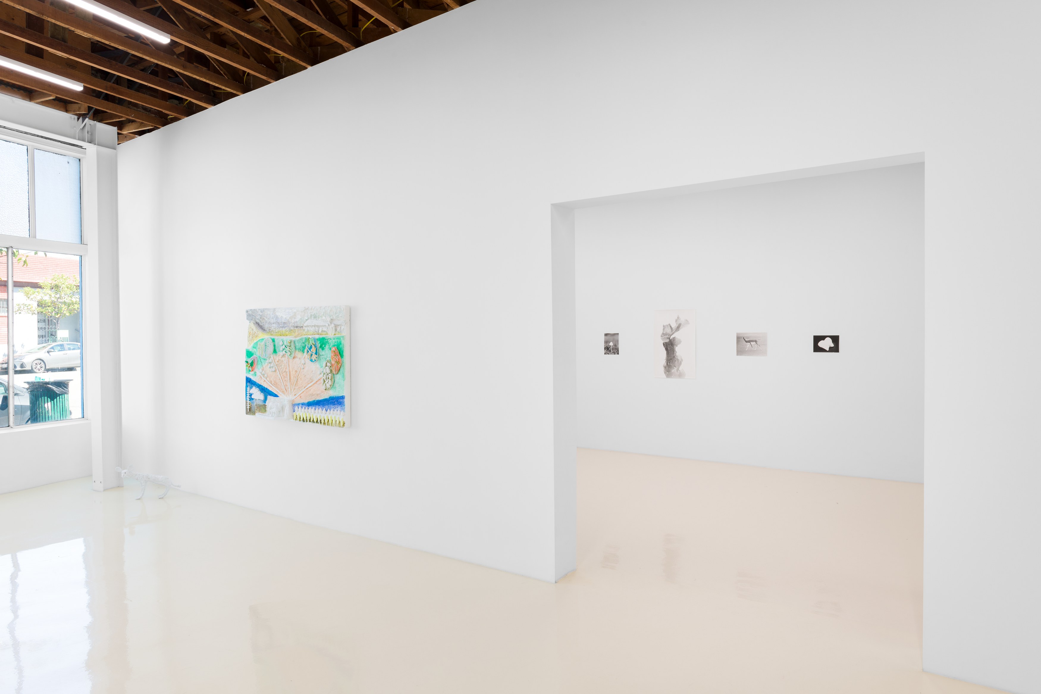 Jochen Lempert, Lin May Saeed, Untitled at Chris Sharp Gallery, photo 12