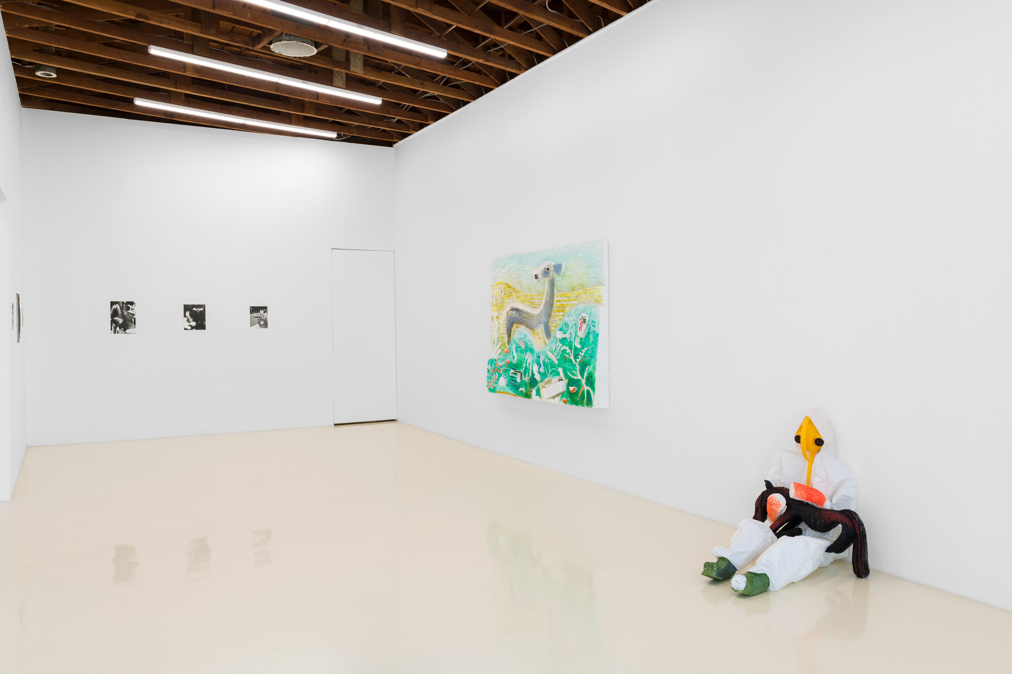 Jochen Lempert, Lin May Saeed, Untitled at Chris Sharp Gallery, photo 15