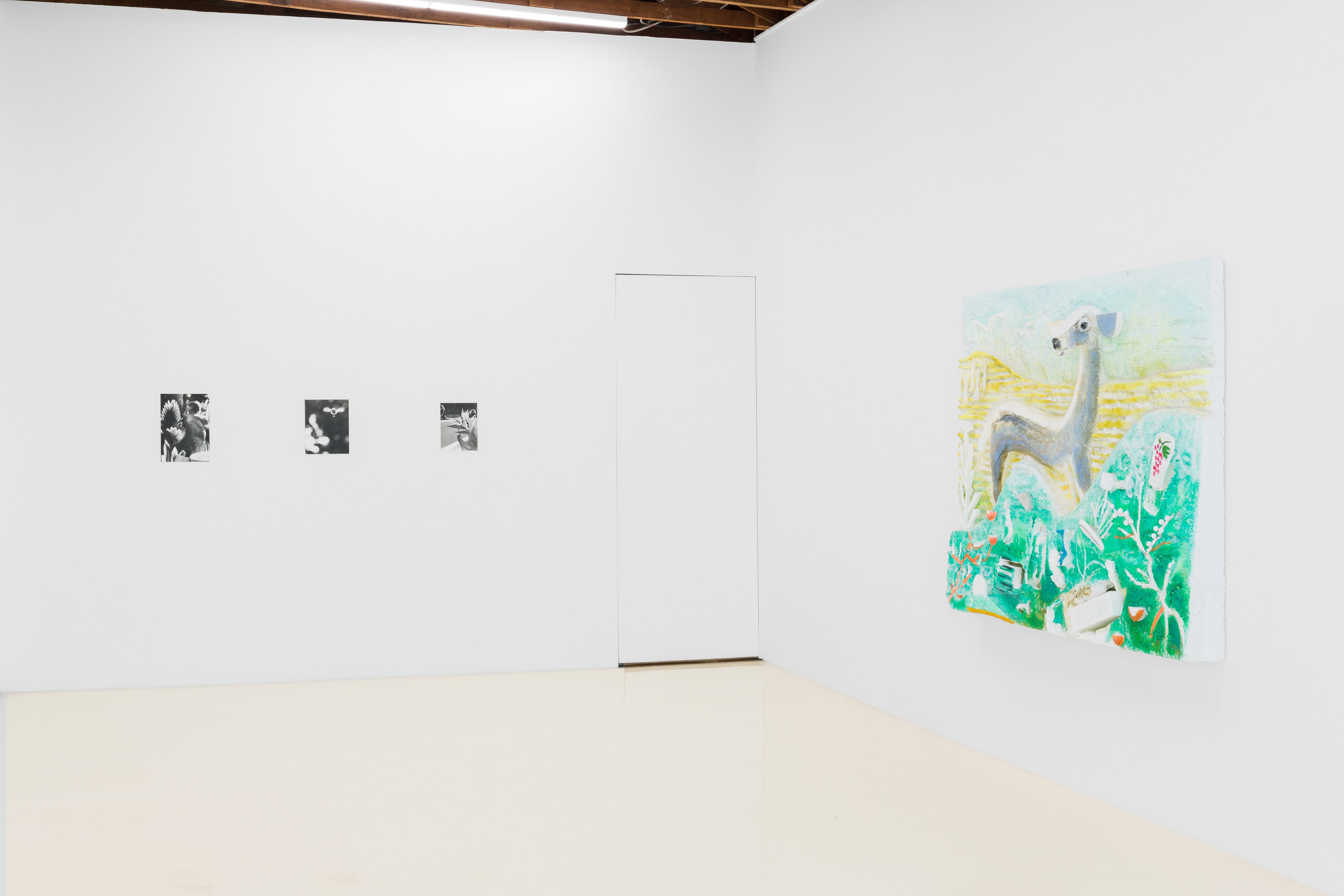 Jochen Lempert, Lin May Saeed, Untitled at Chris Sharp Gallery, photo 14