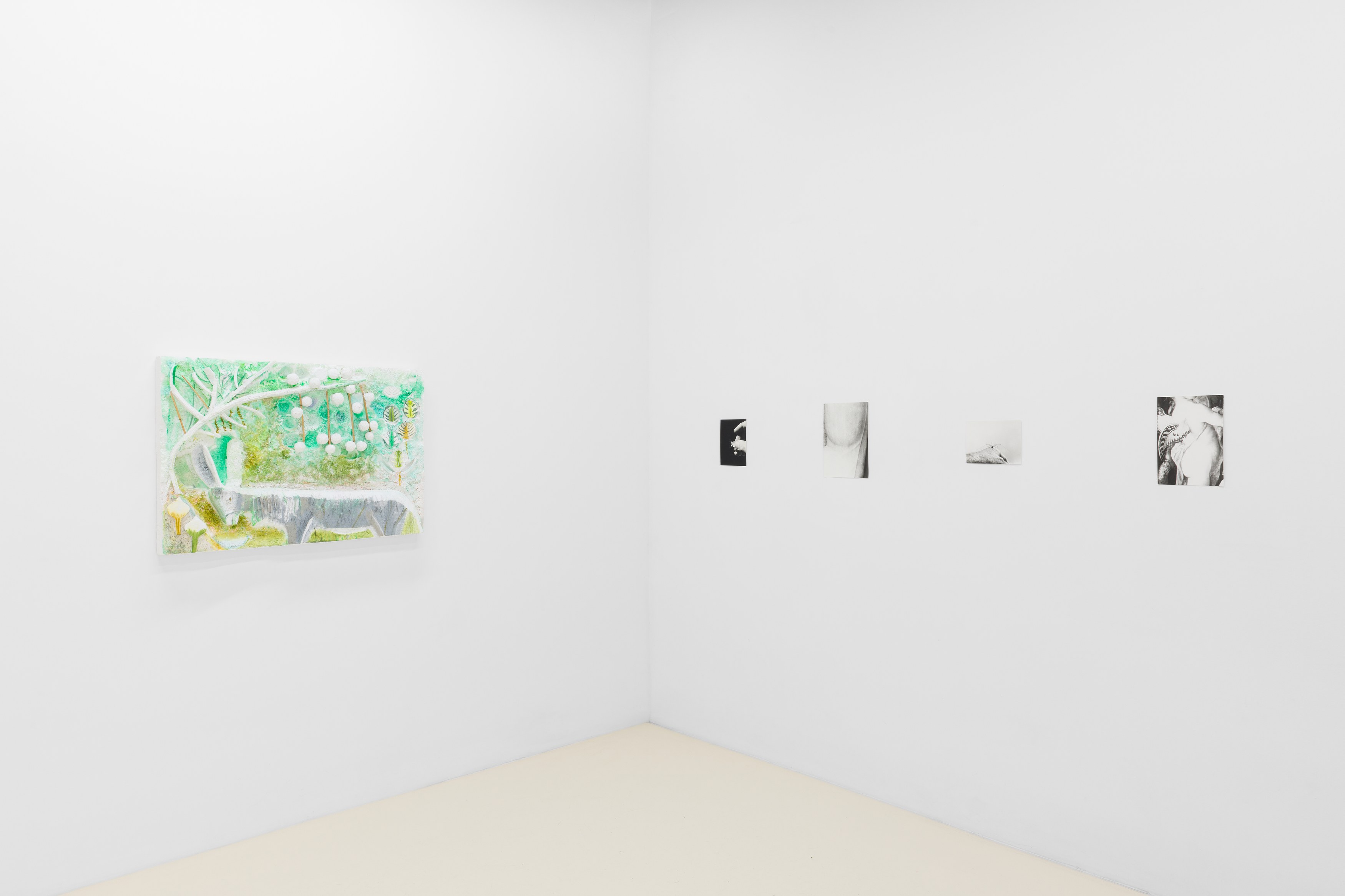 Jochen Lempert, Lin May Saeed, Untitled at Chris Sharp Gallery, photo 17