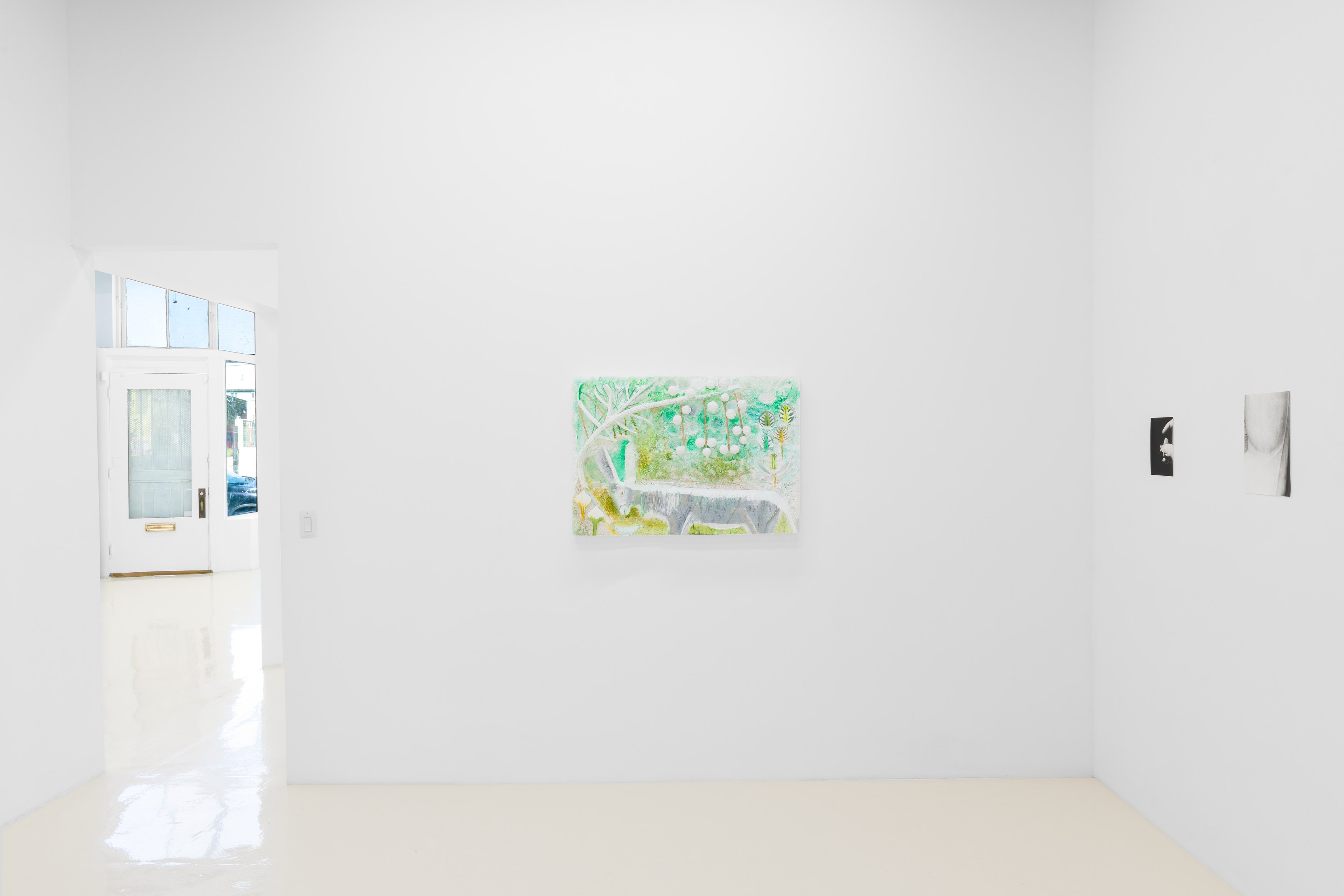 Jochen Lempert, Lin May Saeed, Untitled at Chris Sharp Gallery, photo 18