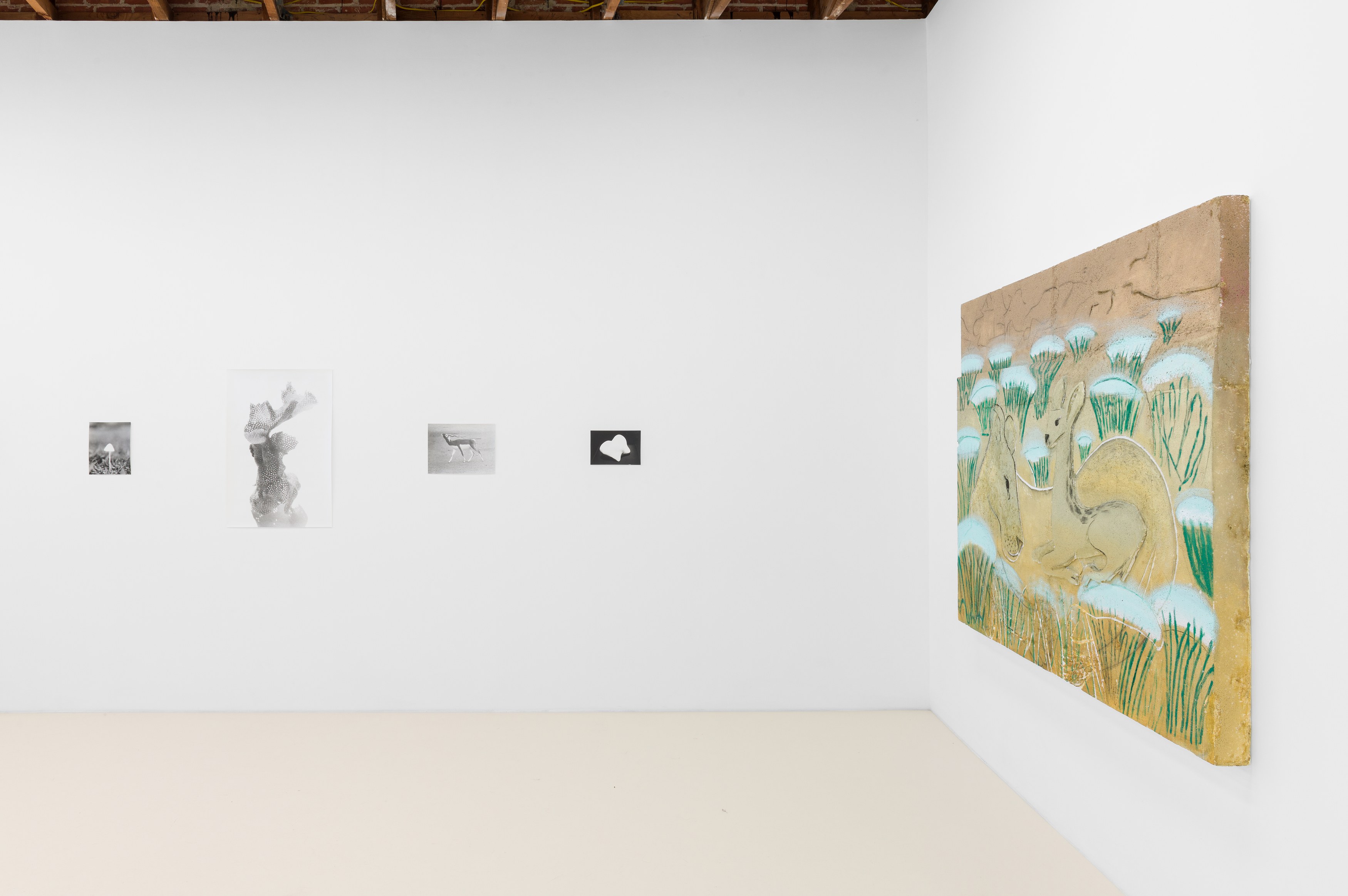 Jochen Lempert, Lin May Saeed, Untitled at Chris Sharp Gallery, photo 20