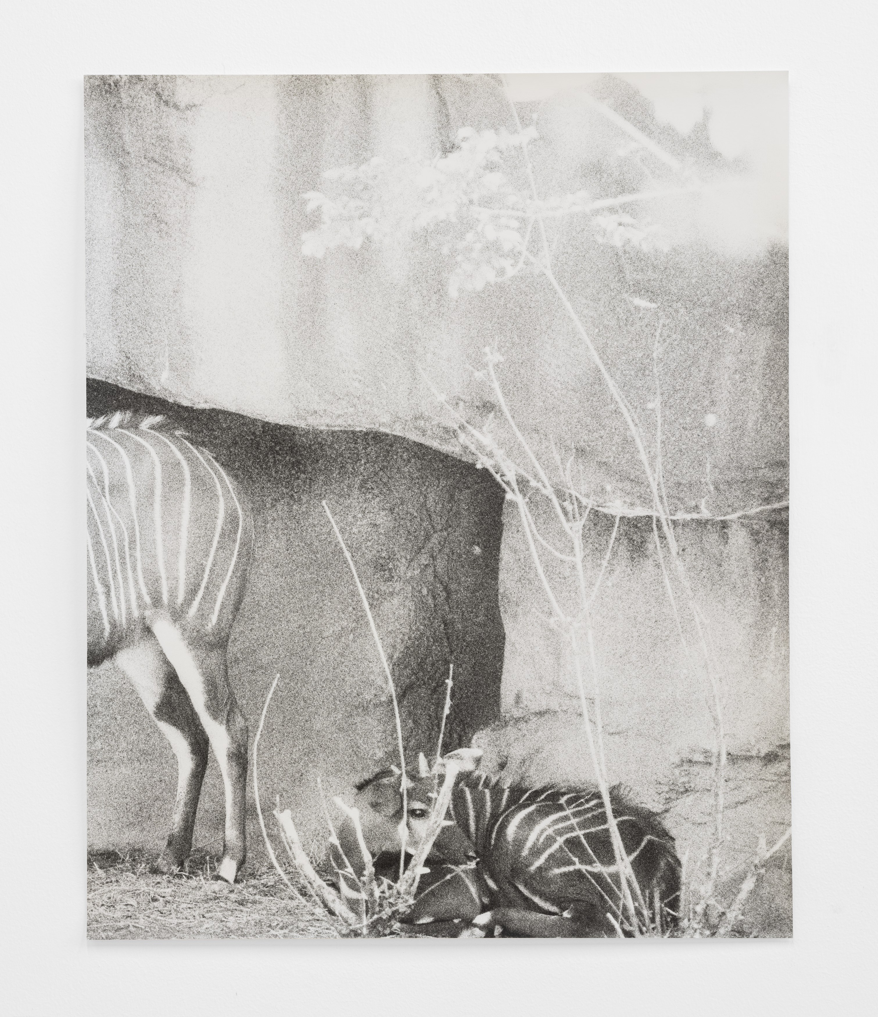 Jochen Lempert, Lin May Saeed, Untitled at Chris Sharp Gallery, photo 48