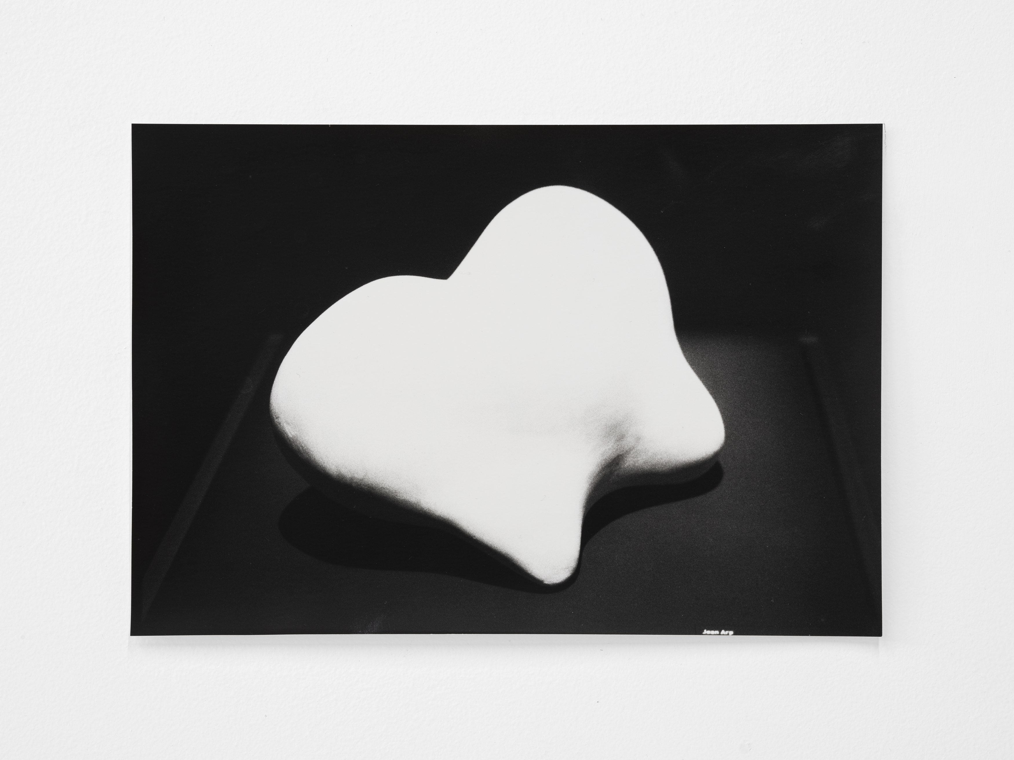 Jochen Lempert, Lin May Saeed, Untitled at Chris Sharp Gallery, photo 49