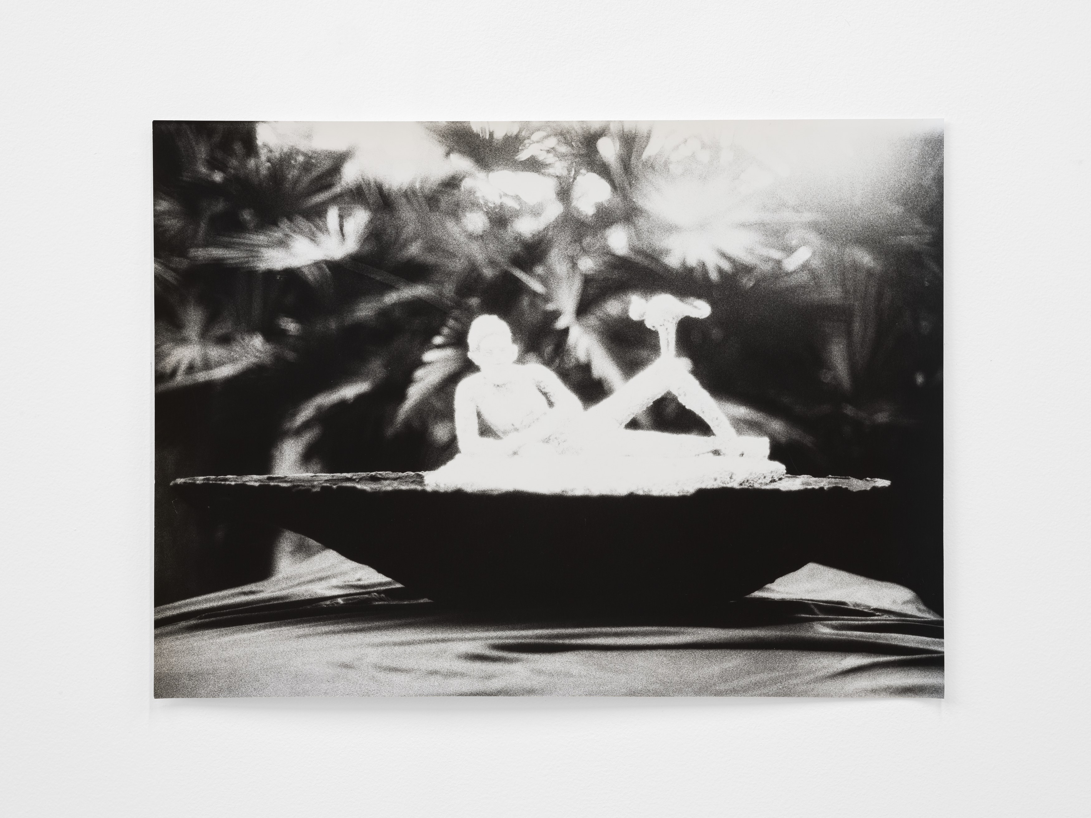 Jochen Lempert, Lin May Saeed, Untitled at Chris Sharp Gallery, photo 52