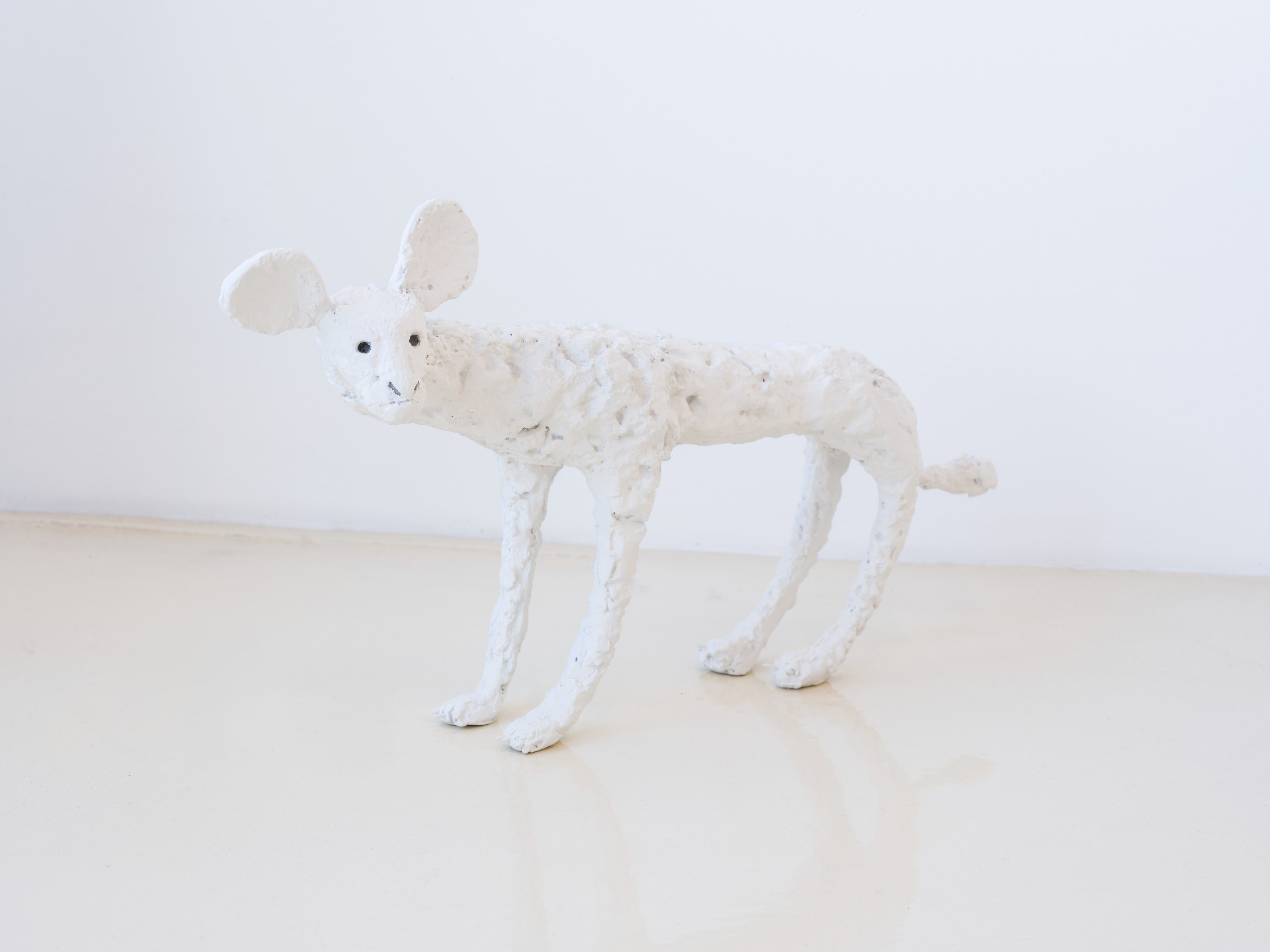 Jochen Lempert, Lin May Saeed, Untitled at Chris Sharp Gallery, photo 42