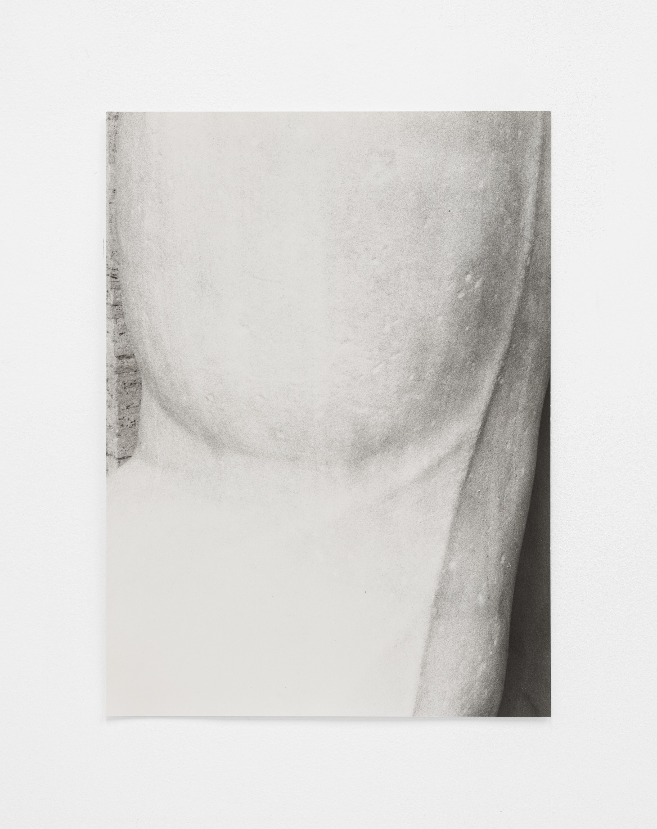 Jochen Lempert, Lin May Saeed, Untitled at Chris Sharp Gallery, photo 63