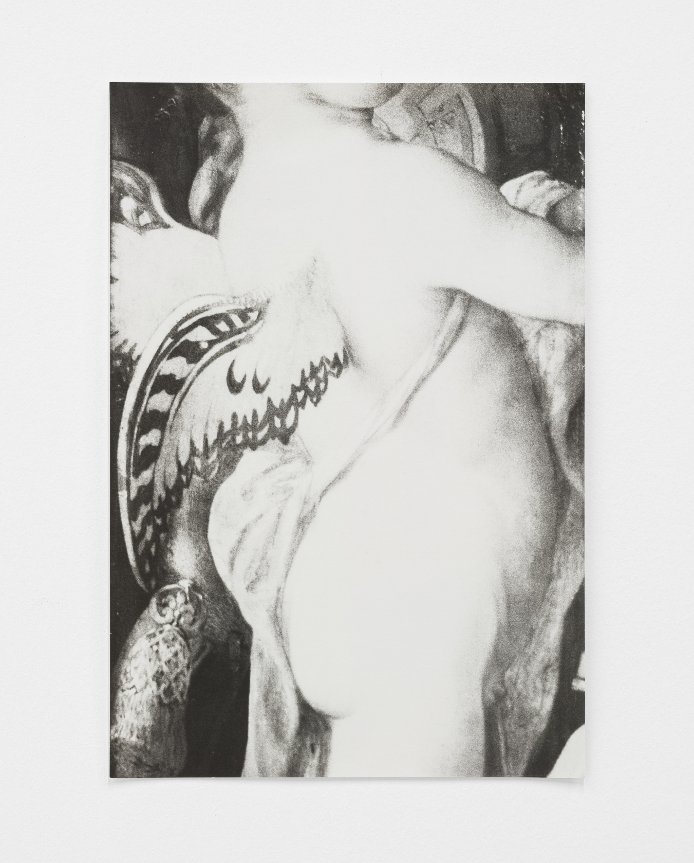 Jochen Lempert, Lin May Saeed, Untitled at Chris Sharp Gallery, photo 65