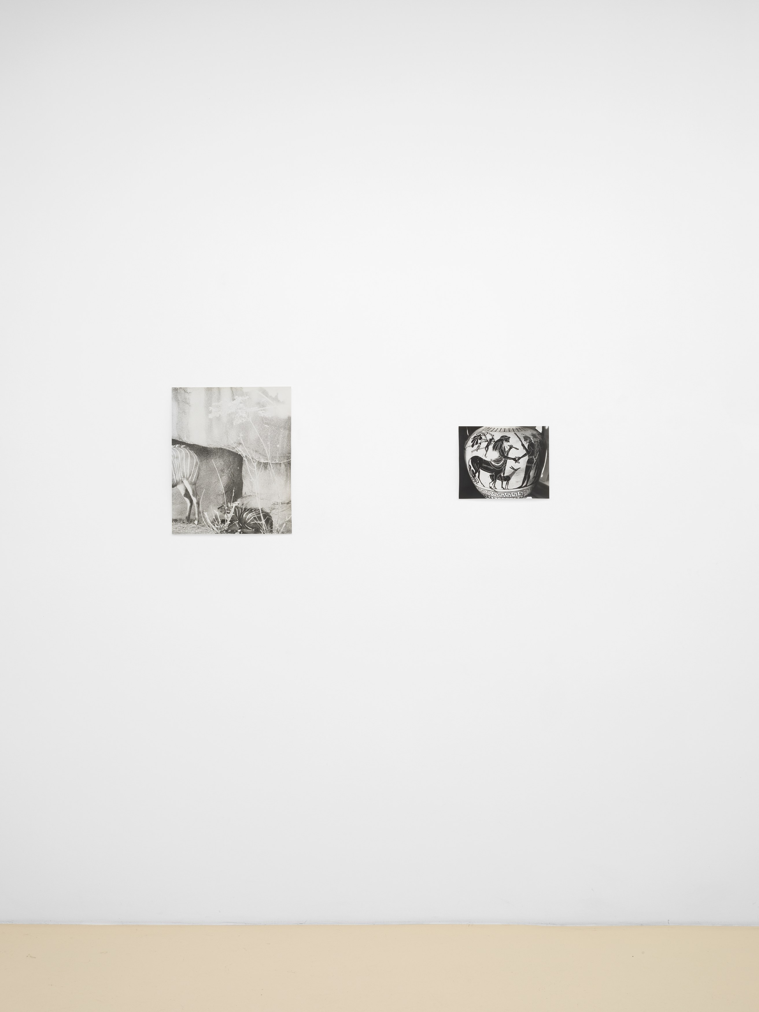 Jochen Lempert, Lin May Saeed, Untitled at Chris Sharp Gallery, photo 24
